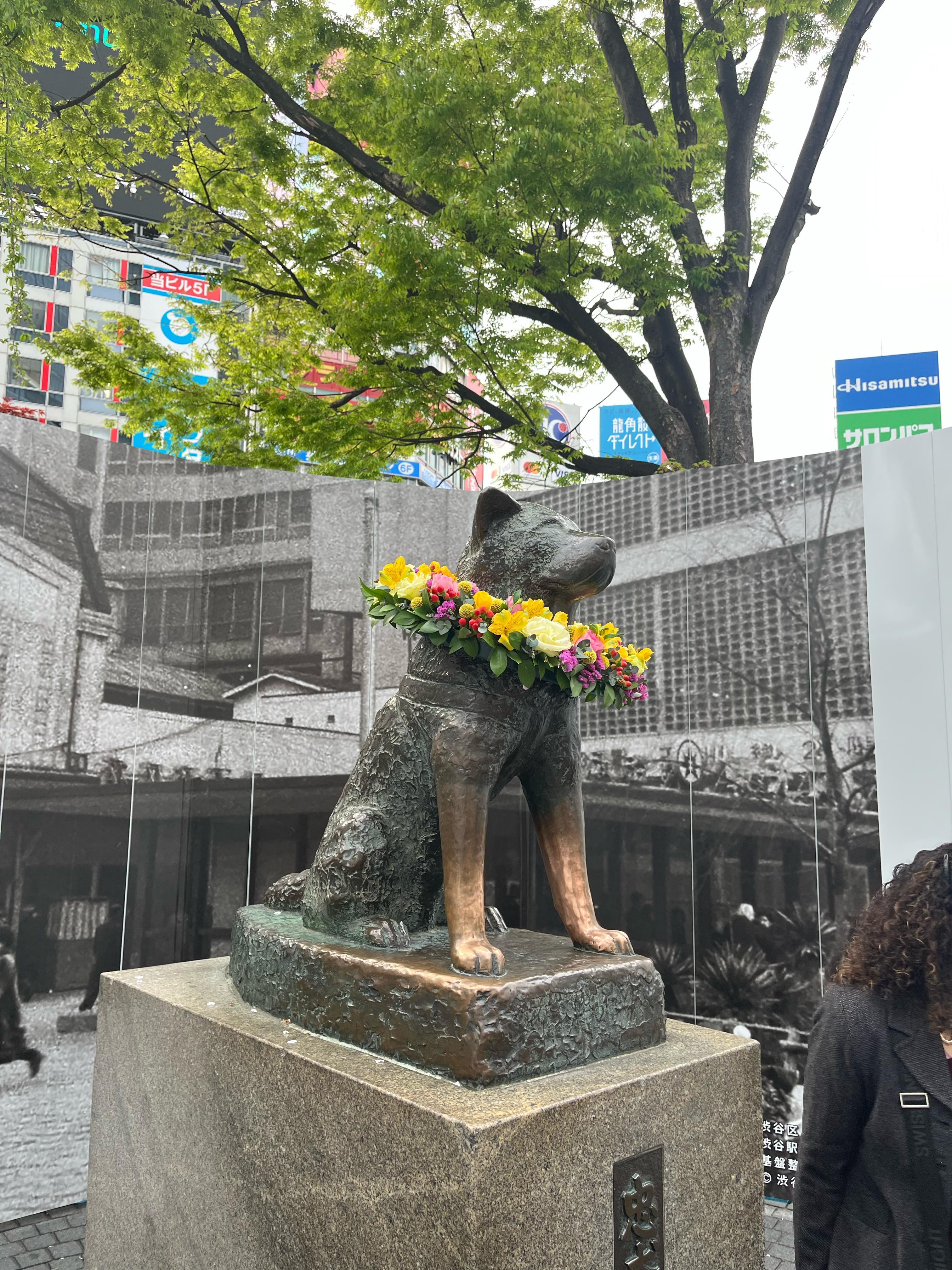 Tokyo Bike Tour: Shibuya, Harajuku & Hidden Backstreets
