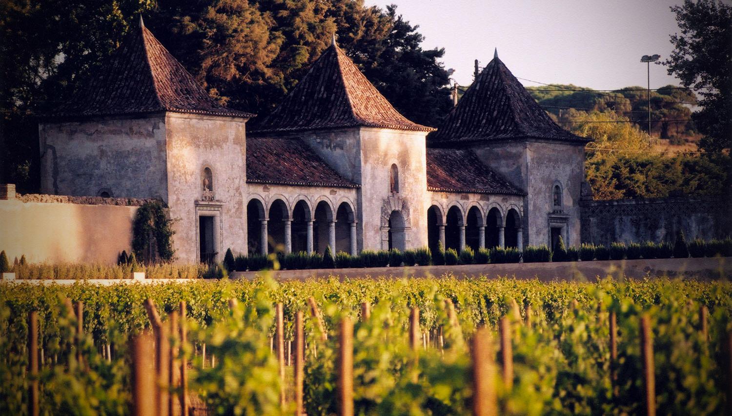 wine tour in Azeitão — From Lisbon: Serra da Arrábida, Sesimbra and Setúbal Wines - 2026 (Verified Reviews)