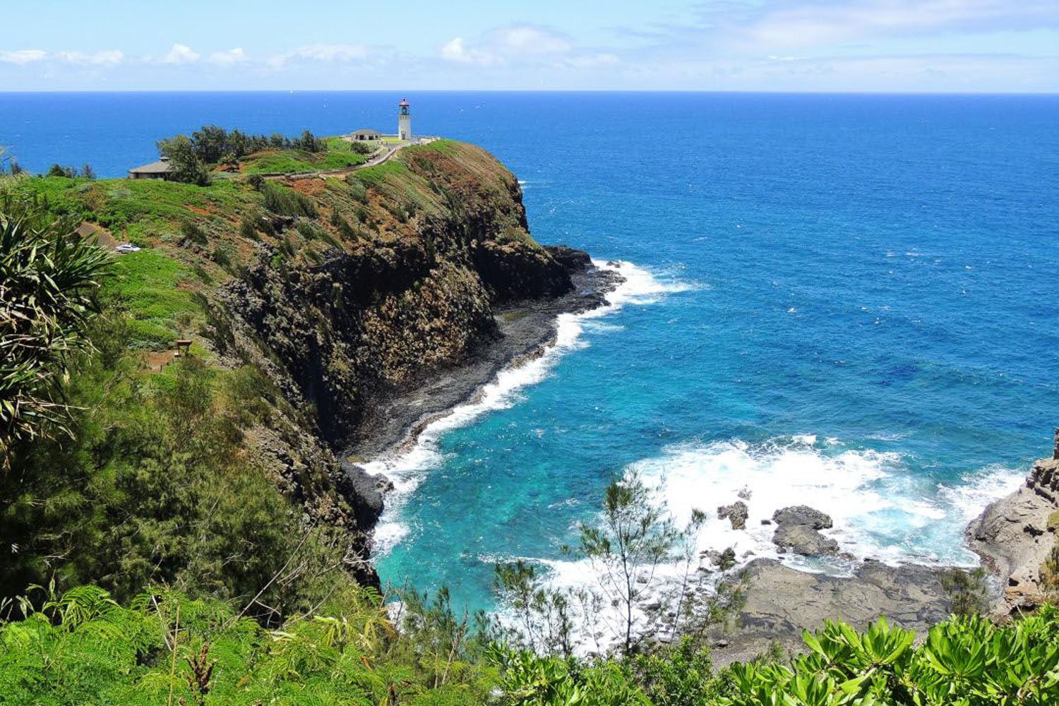 Kauai North & East Shore Day Tour with Fern Grotto River Cruise and Kilauea Lighthouse