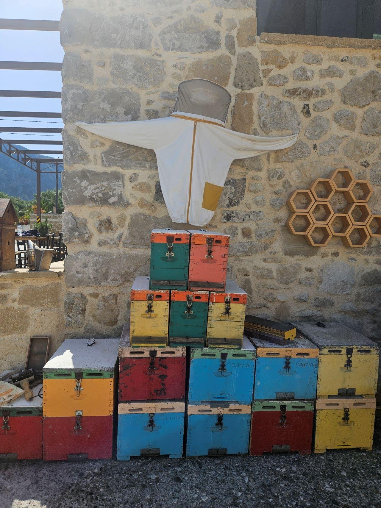 cheese tasting in Crete — photo 7