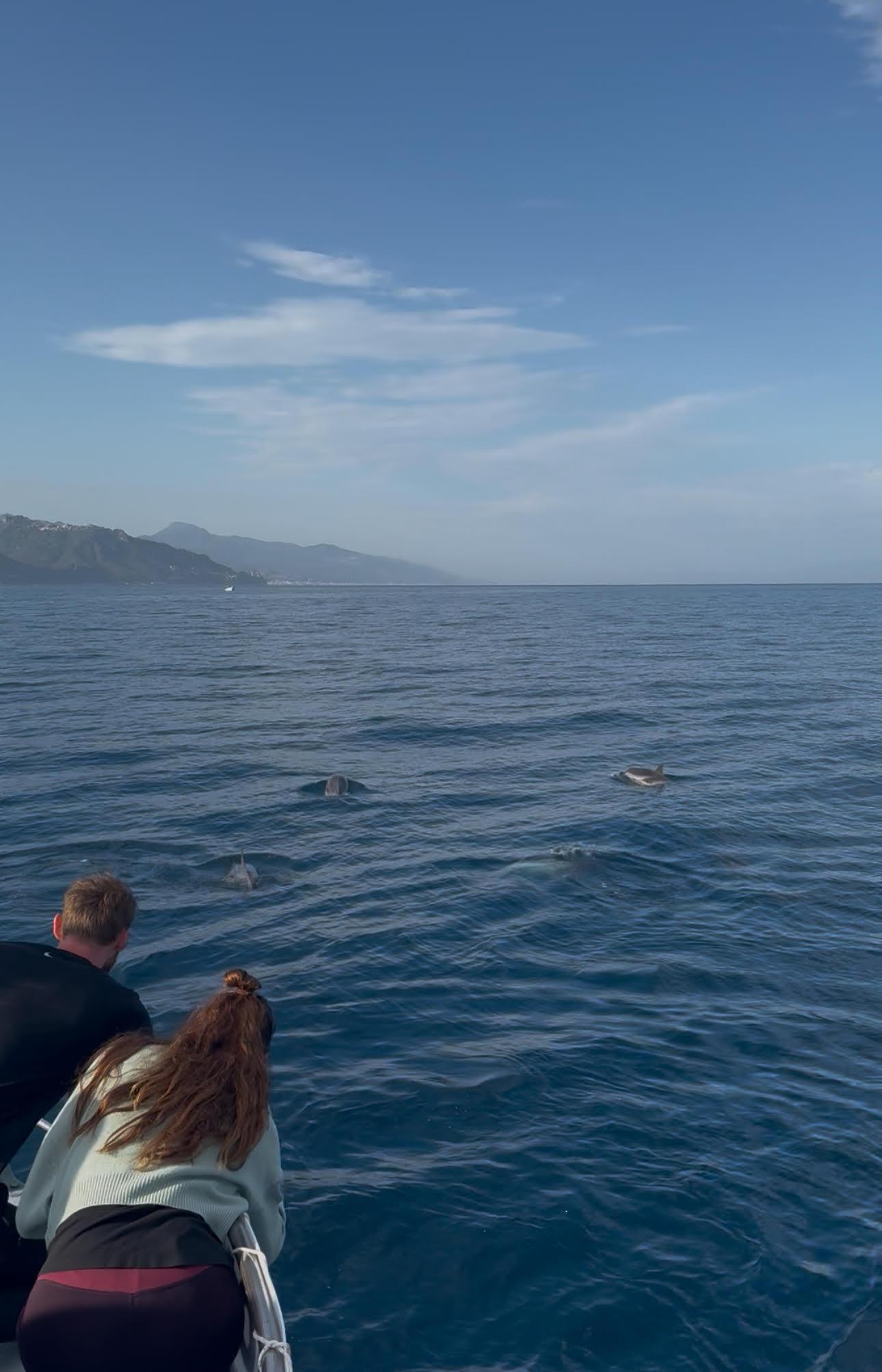 Taormina Sunset Dolphin Watching & Sicilian Aperitivo