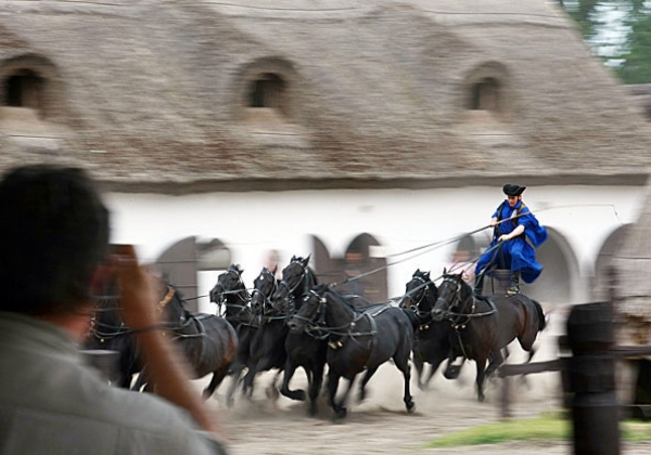 Private Puszta Grassland Tour with Equestrian Show & Traditional Lunch