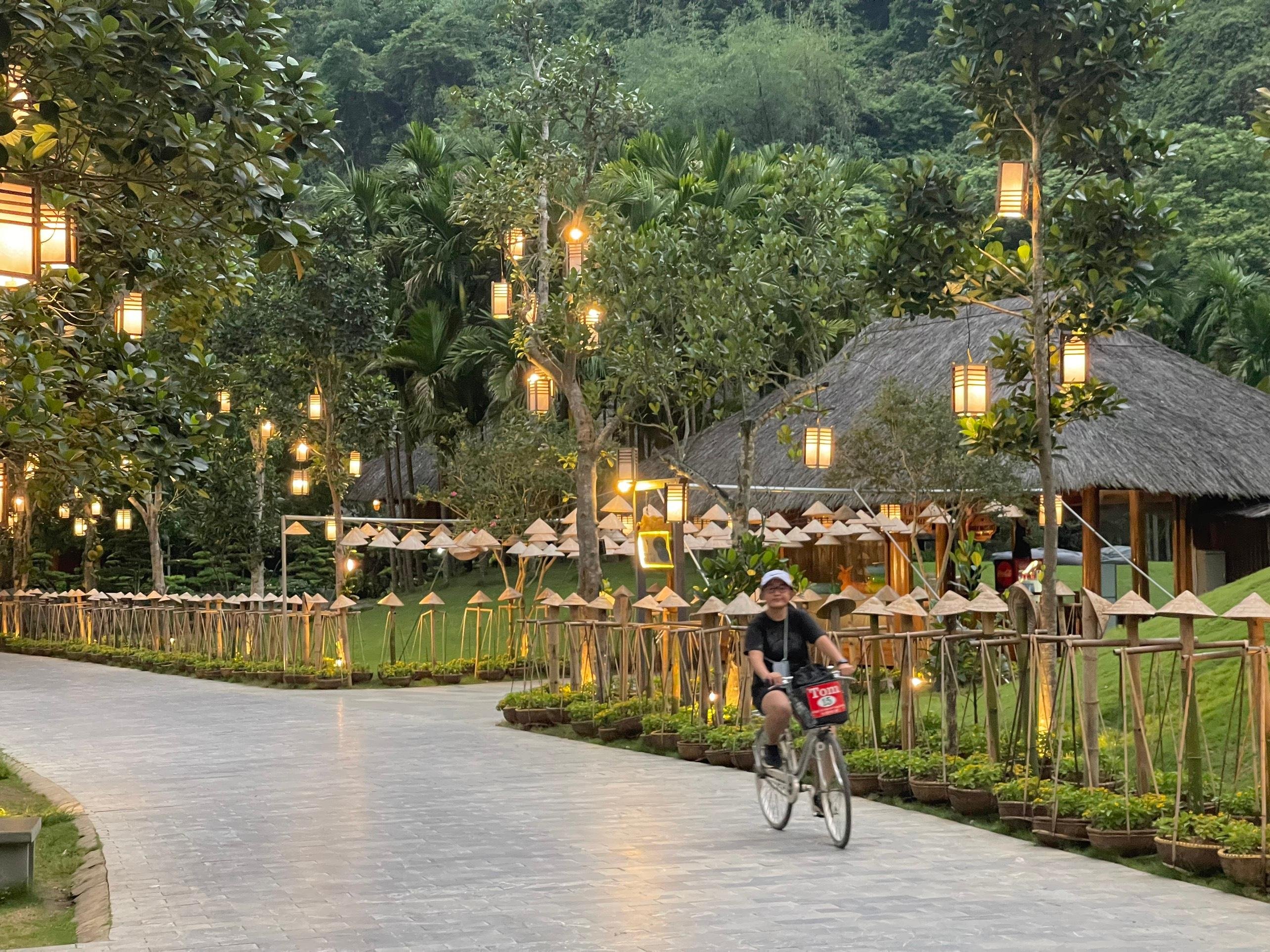 2-Day Ninh Binh Escape from Hanoi: Caves, Cycling & Culture