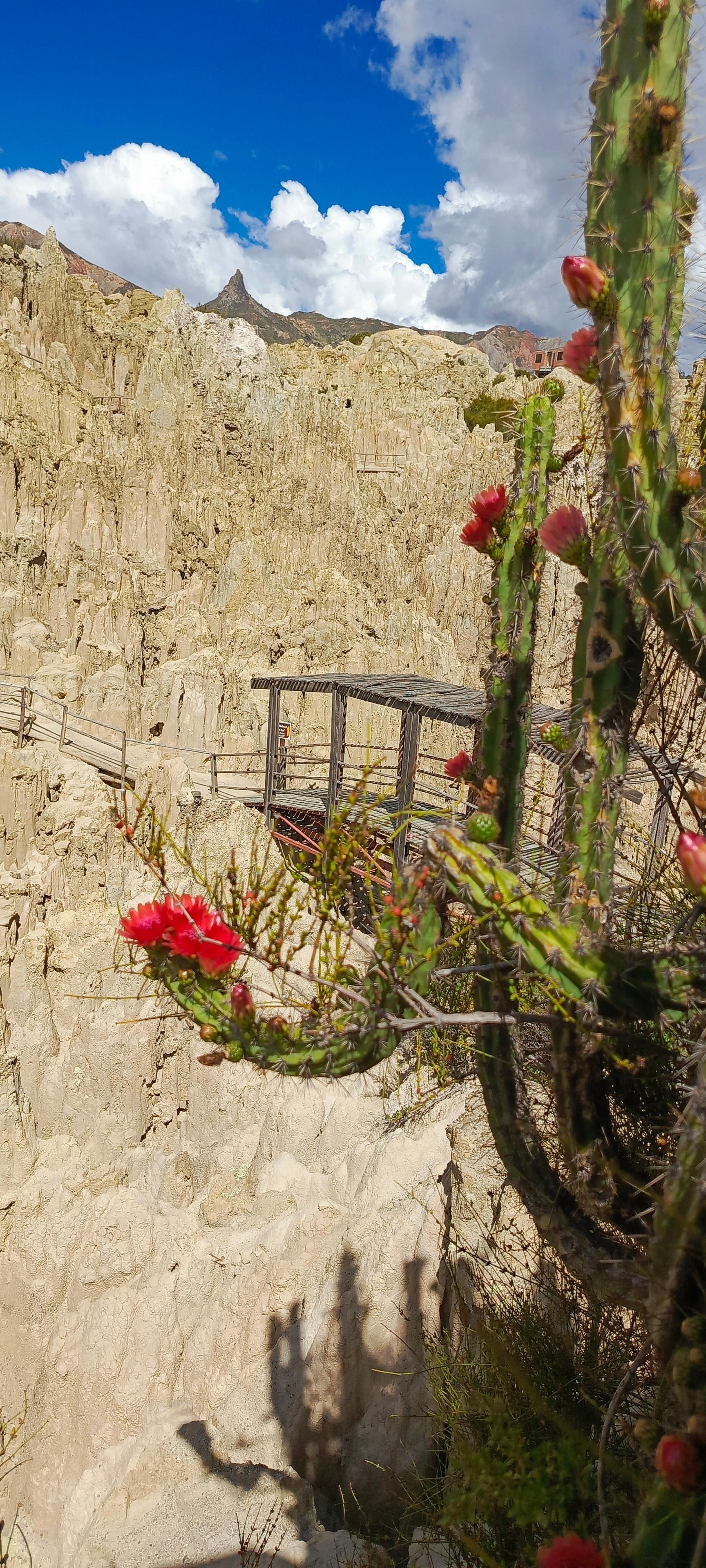 Aventure d'une demi-journée : Valle de las Animas, Vallée de la Lune et Killi Killi
