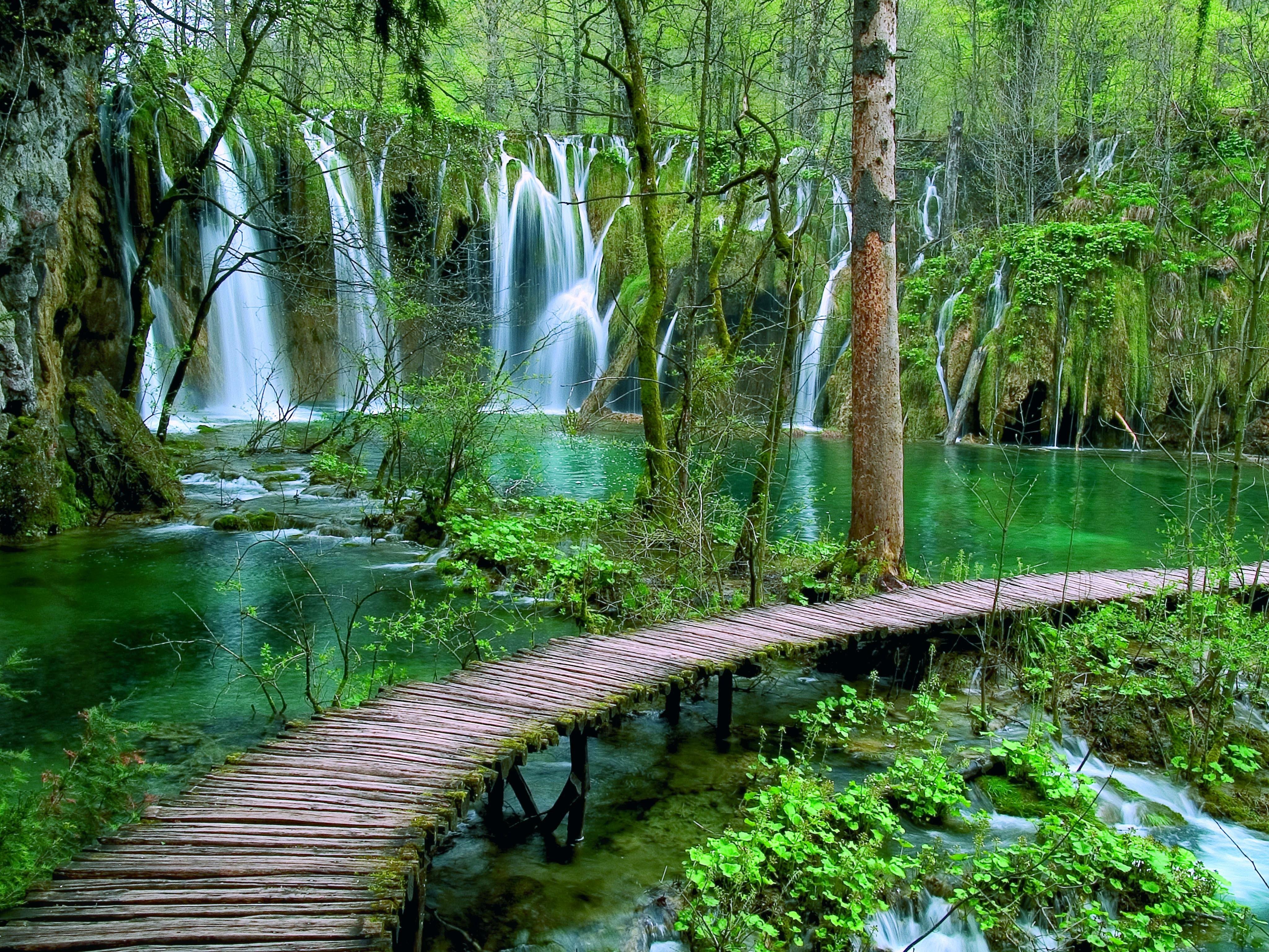 Plitvice Lakes Full-Day Tour from Rijeka