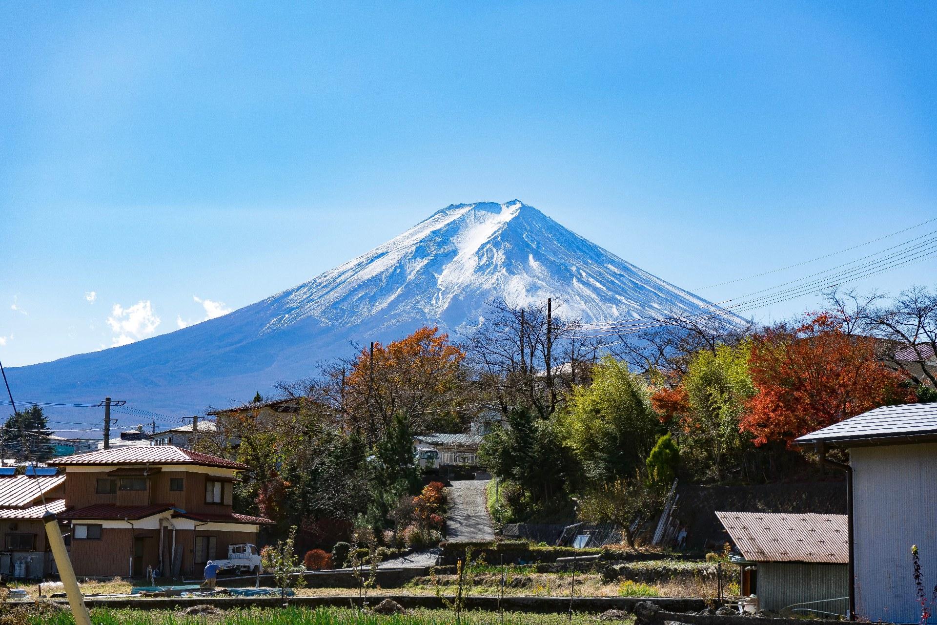 Tokyo Day Trip: Mt. Fuji, Chureito Pagoda & Oshino Hakkai