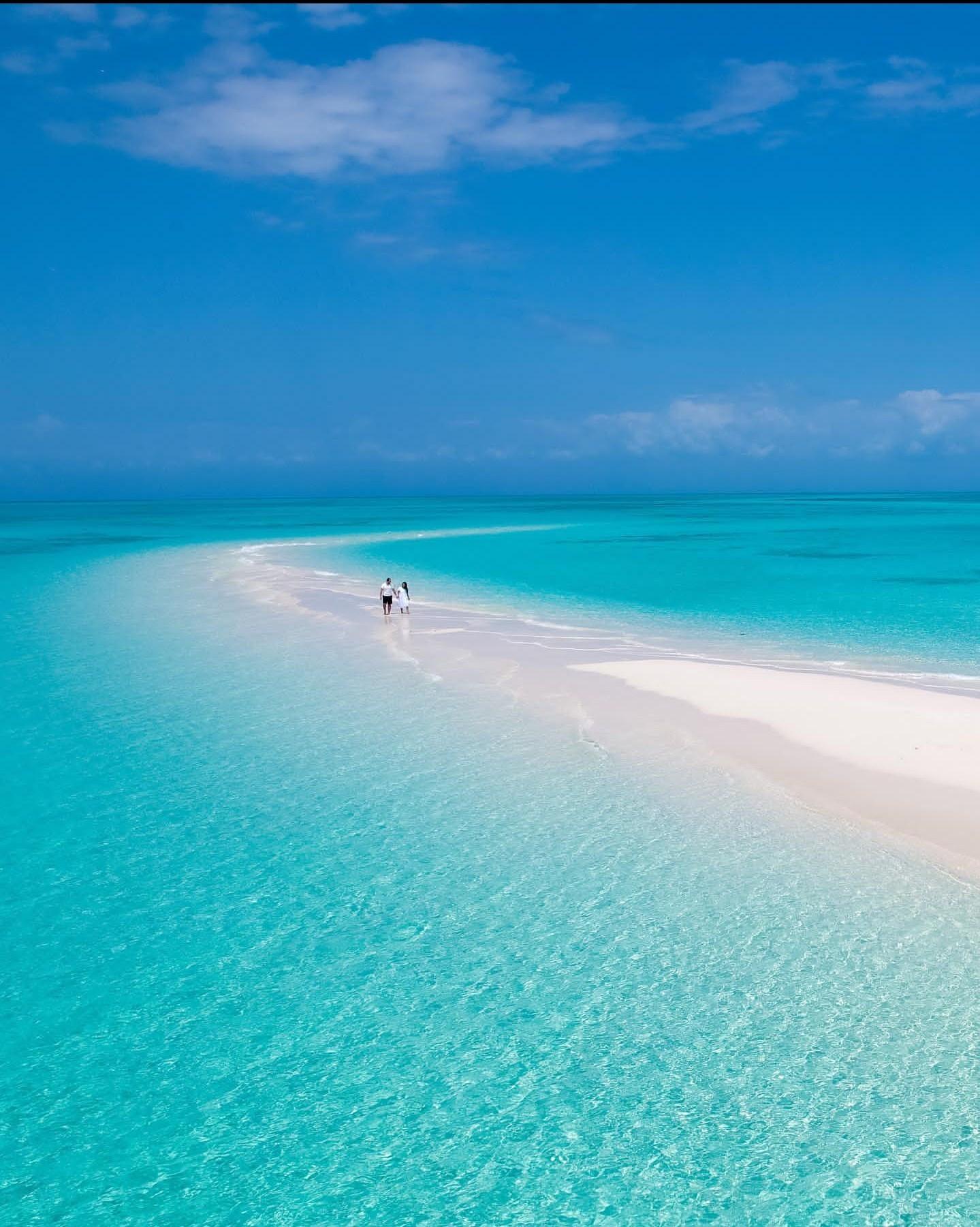 Zanzibar Sandbank & Prison Island Day Trip with Seafood Lunch
