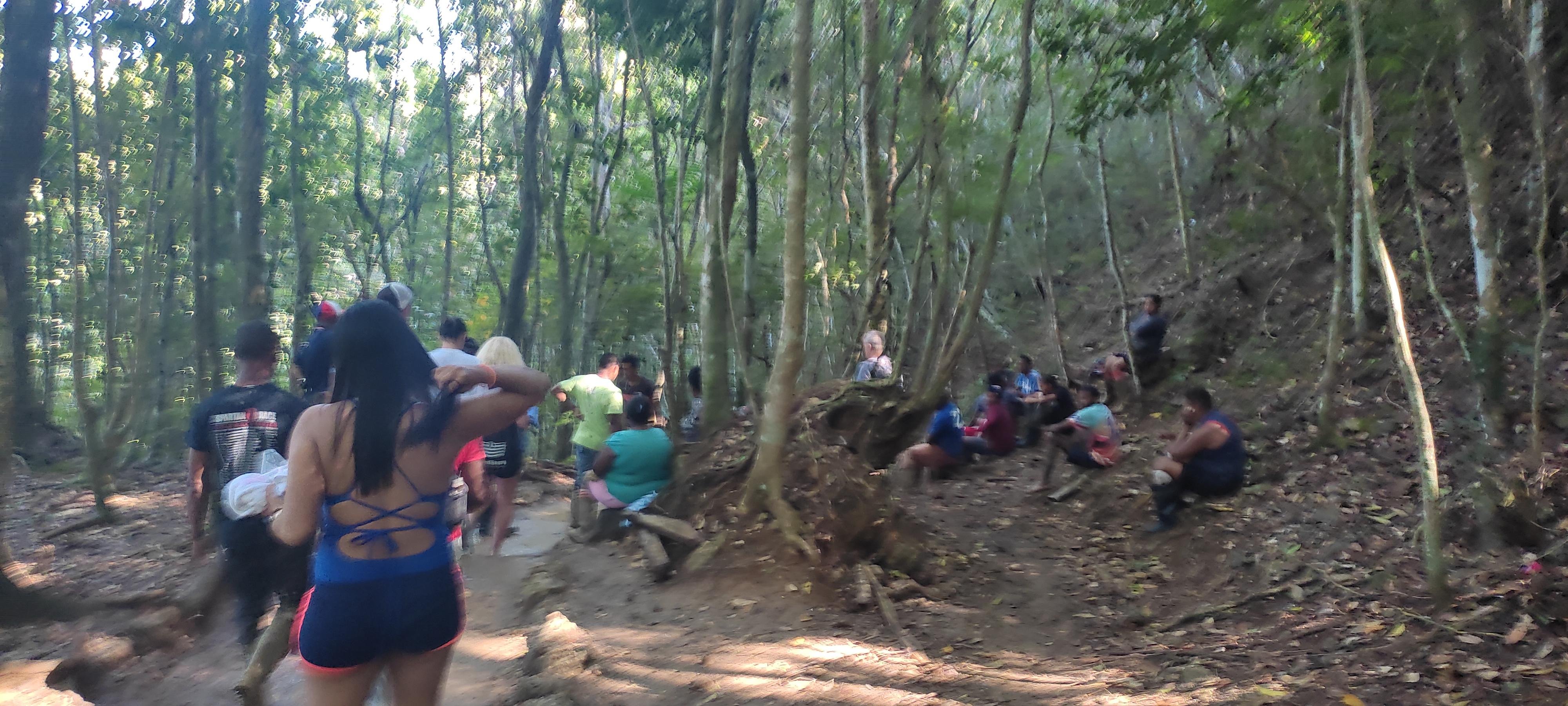 Samaná Bay & El Limón Waterfall Full-Day Adventure