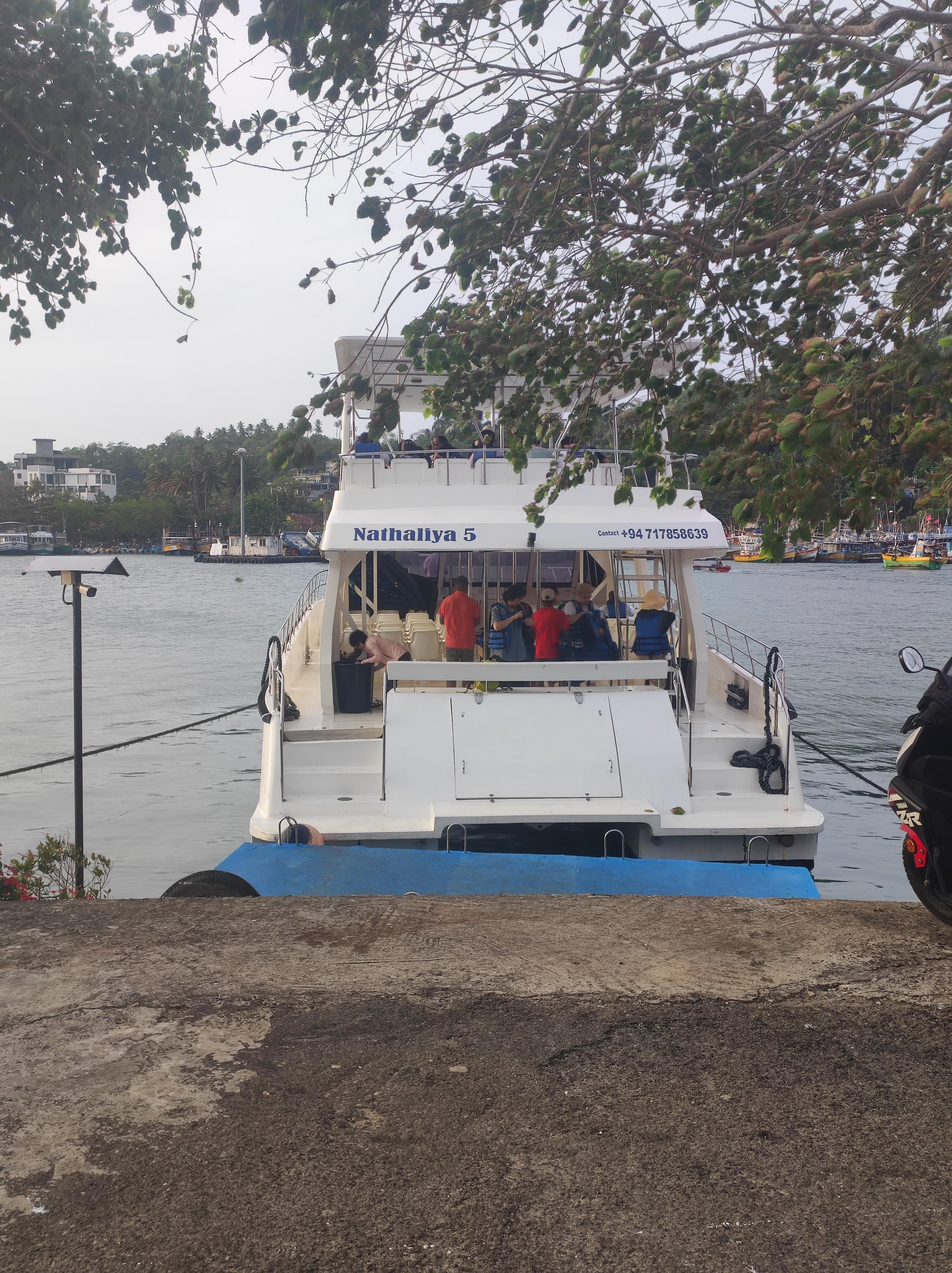 Mirissa Whale & Dolphin Spotting Cruise
