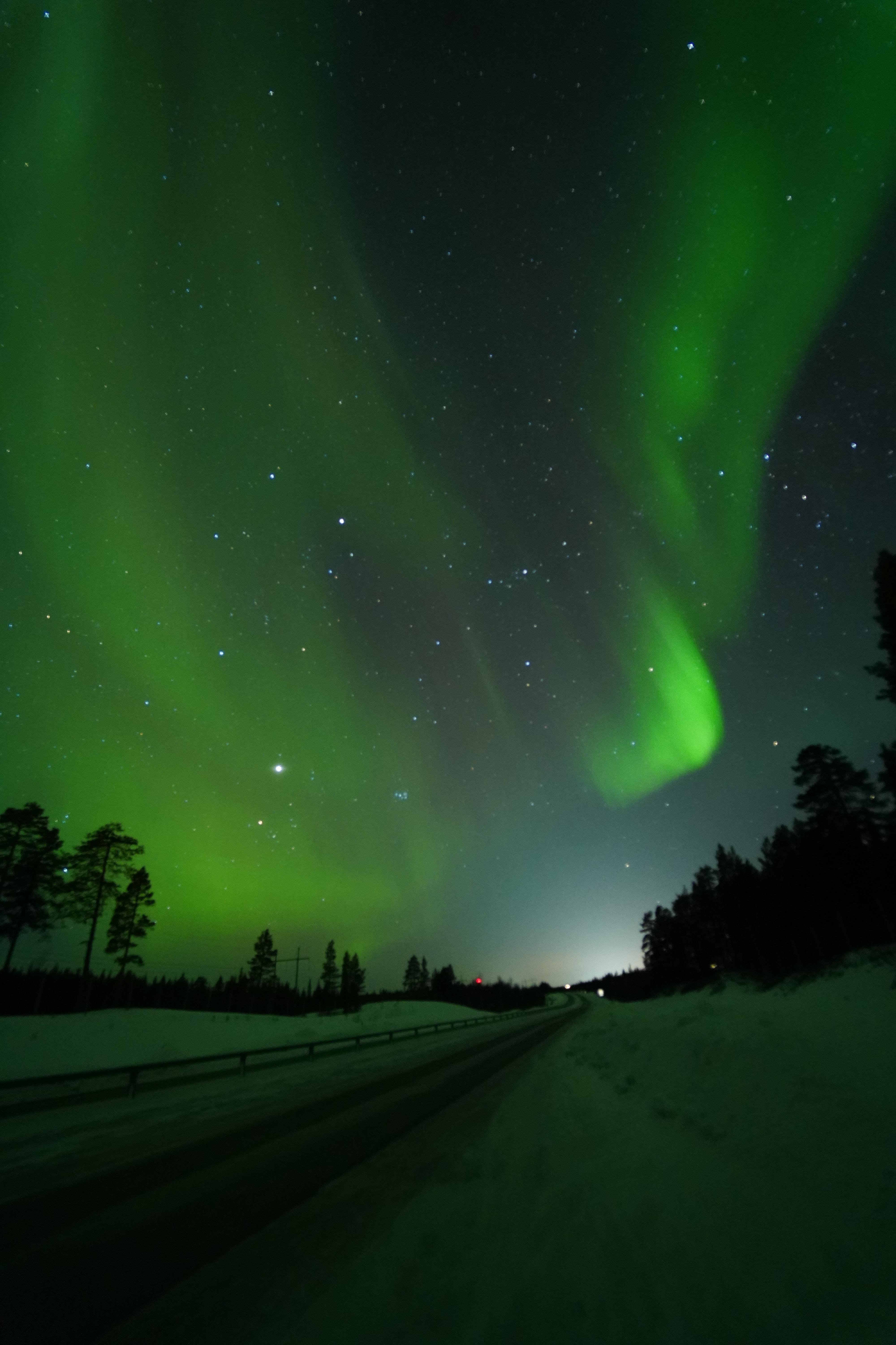 Northern lights tour, image 20