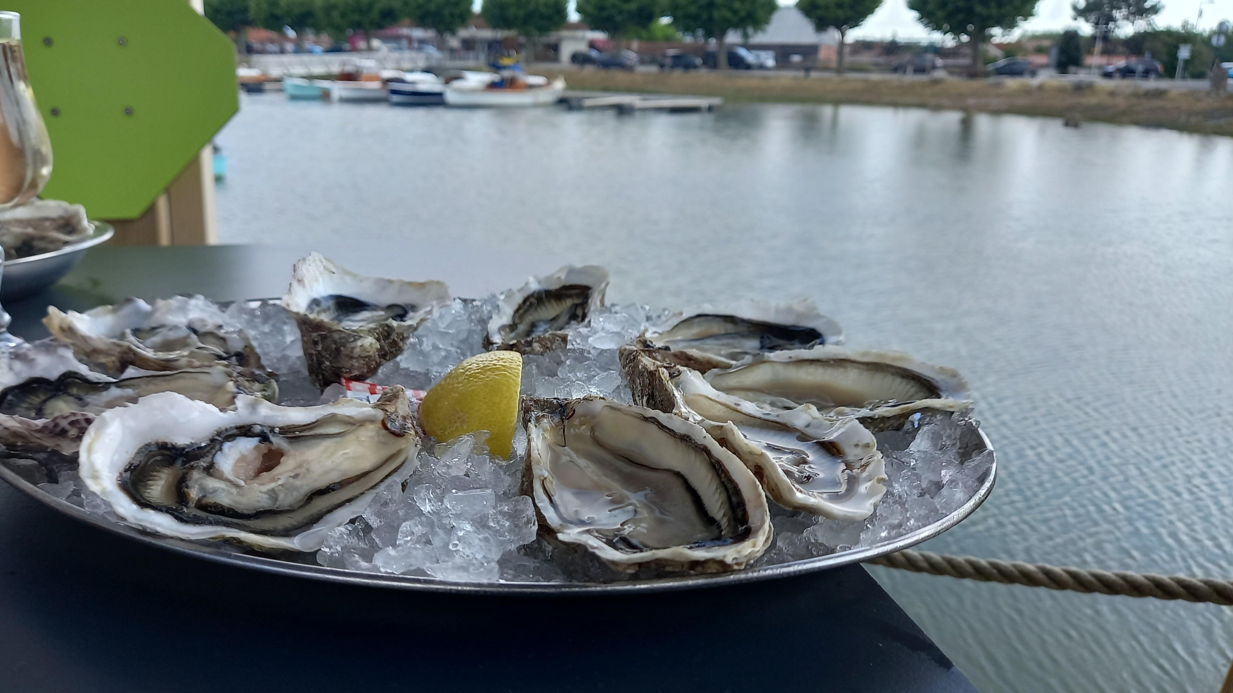 oyster tasting in Bordeaux — photo 6