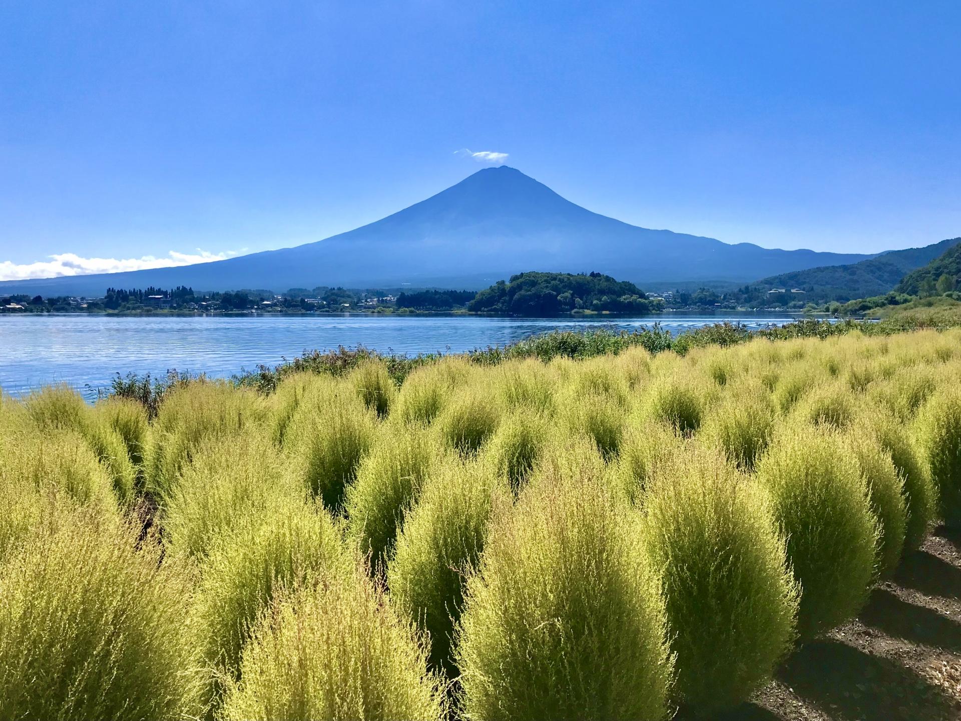 Mount Fuji Day Tour: Chureito Pagoda, Lake Kawaguchi & Oshino Hakkai