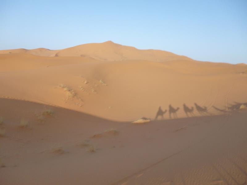 2-Day Sahara Desert Escape to Fes or Marrakech
