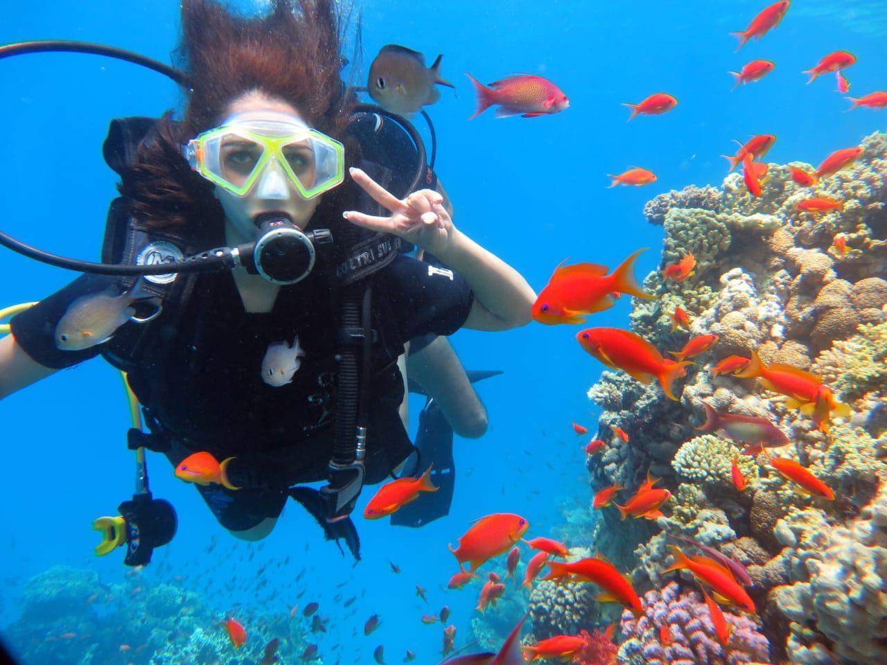 Ras Mohamed & White Island Snorkeling, Diving & Lunch from Sharm