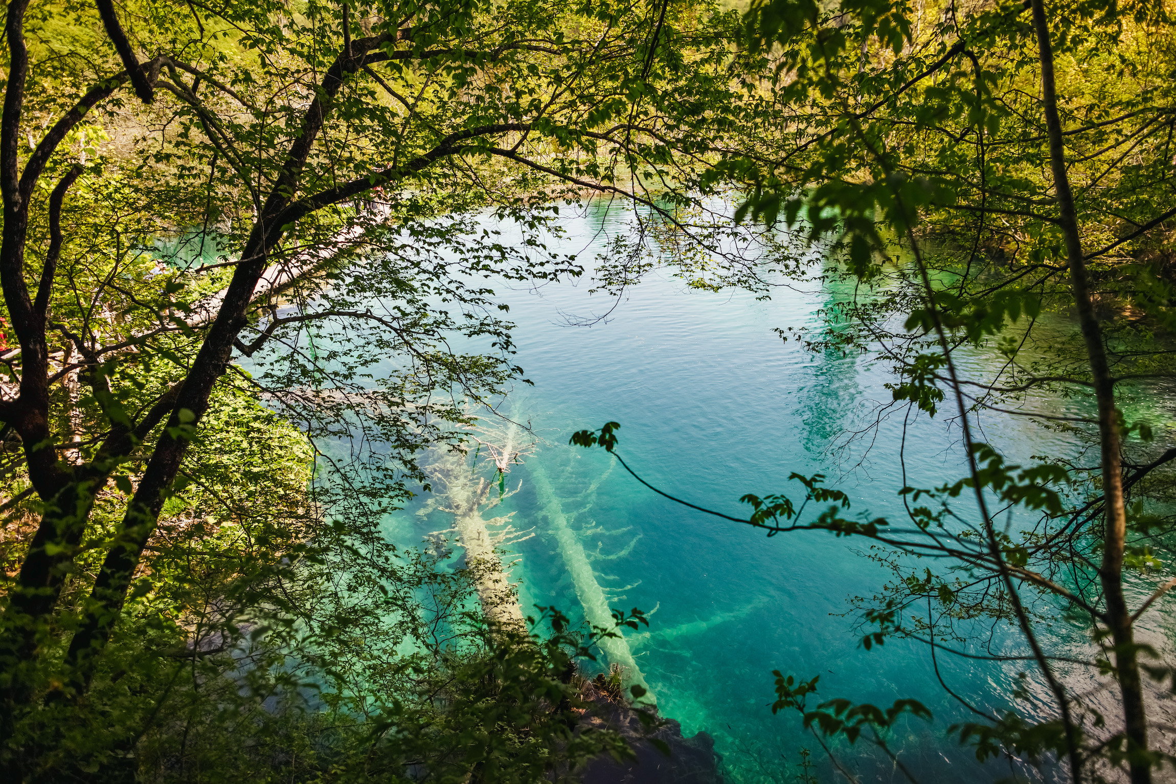 Plitvice Lakes Guided Day Trip from Split or Trogir