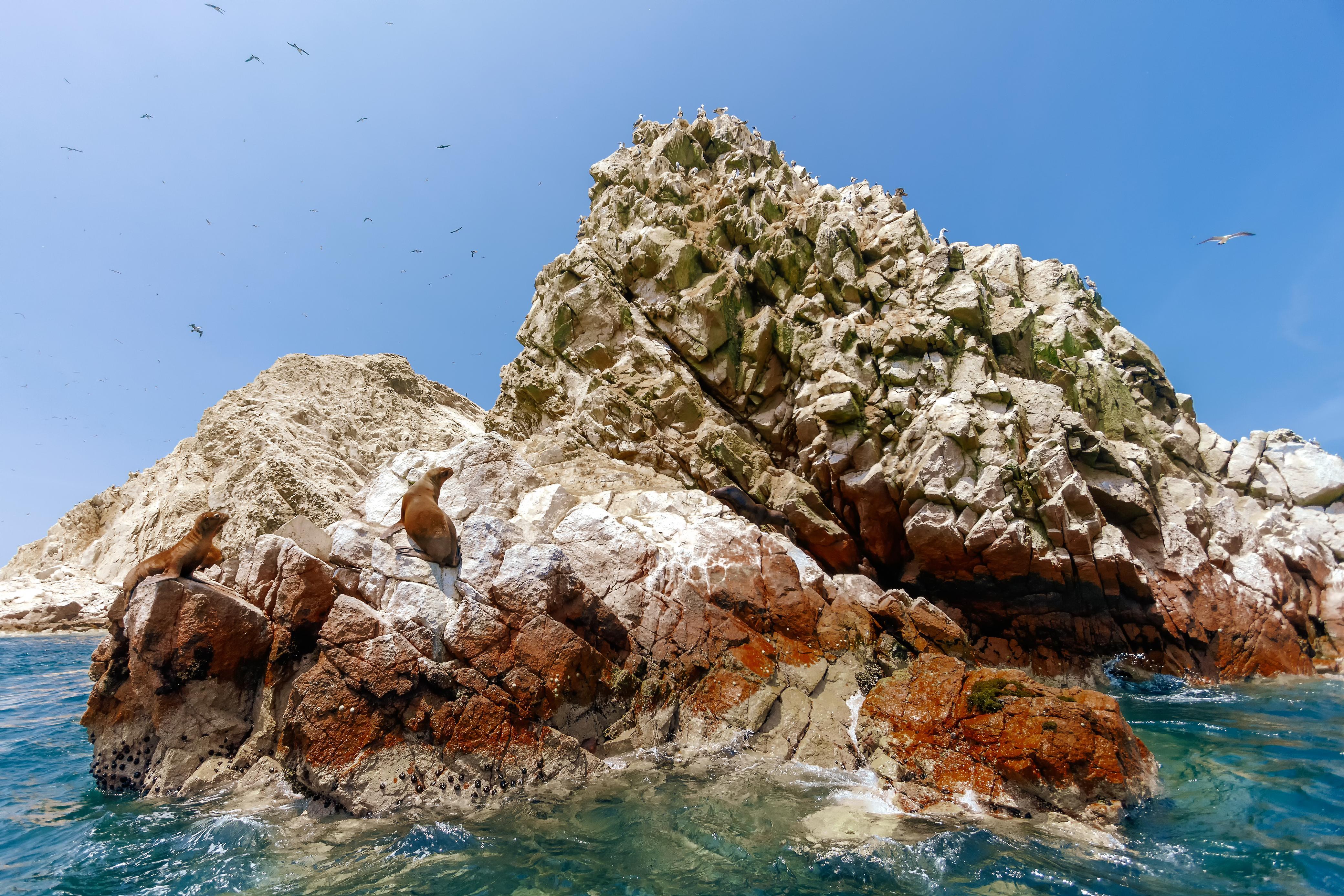 Excursión ecológica en barco a las islas Ballestas