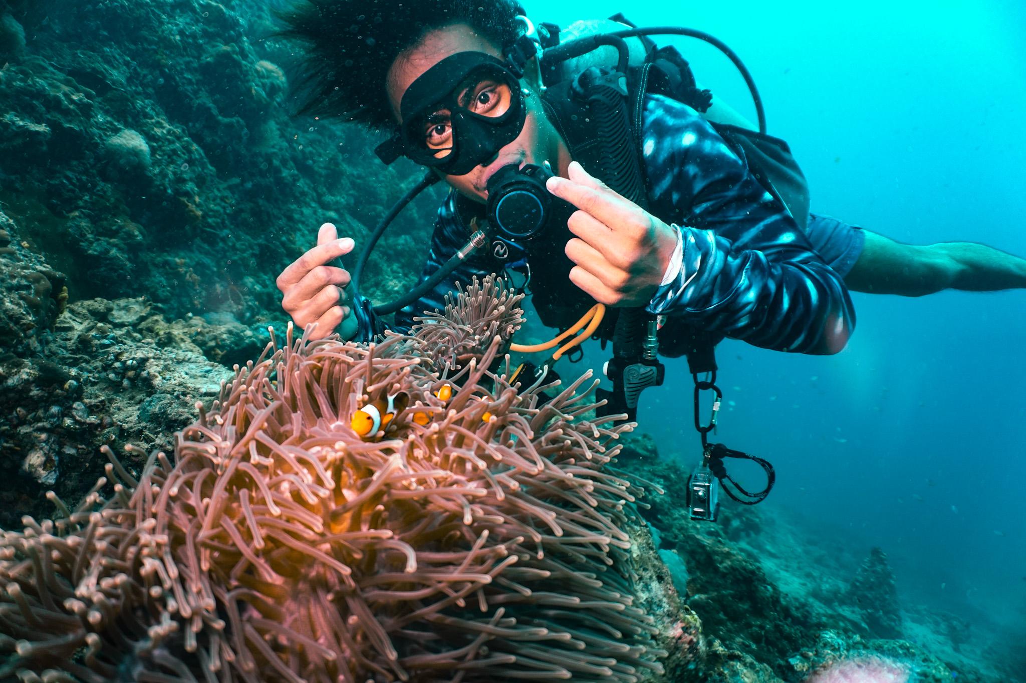 Phi Phi PADI Discover Scuba: 2-Dive Beginner Experience