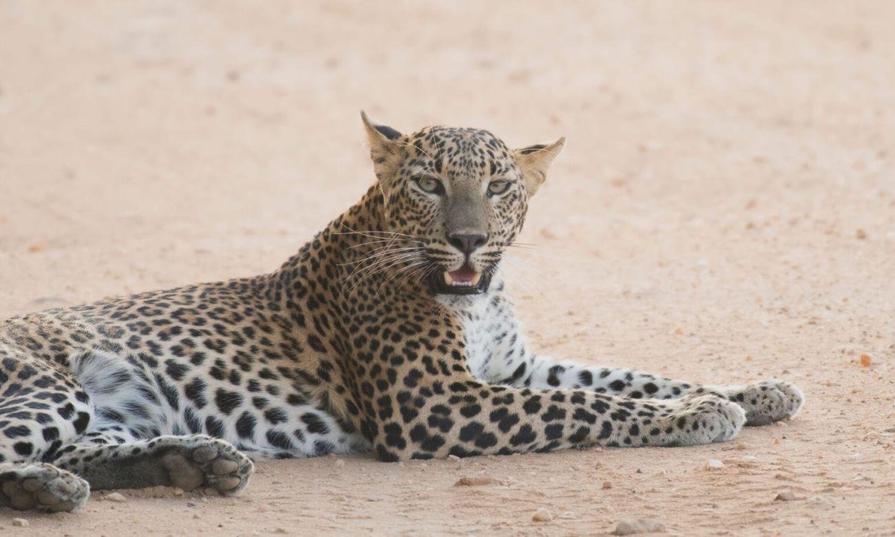 7-Day Private Sri Lanka Highlights Chauffeur Tour