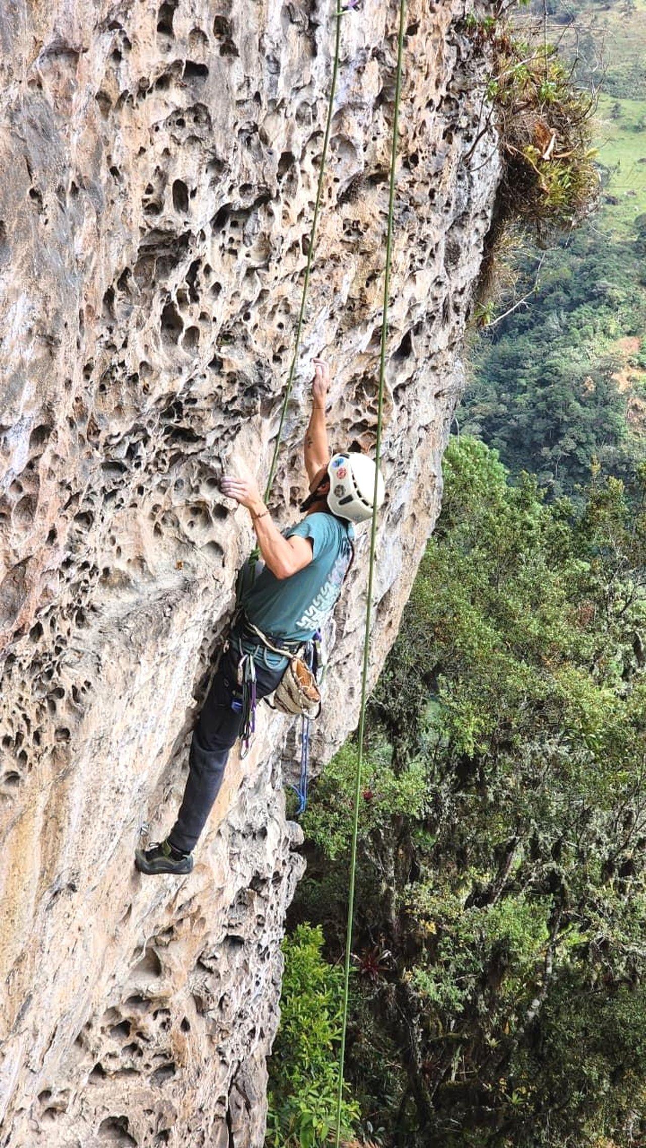 Choachí Rock Climbing & Andean Forest Hike