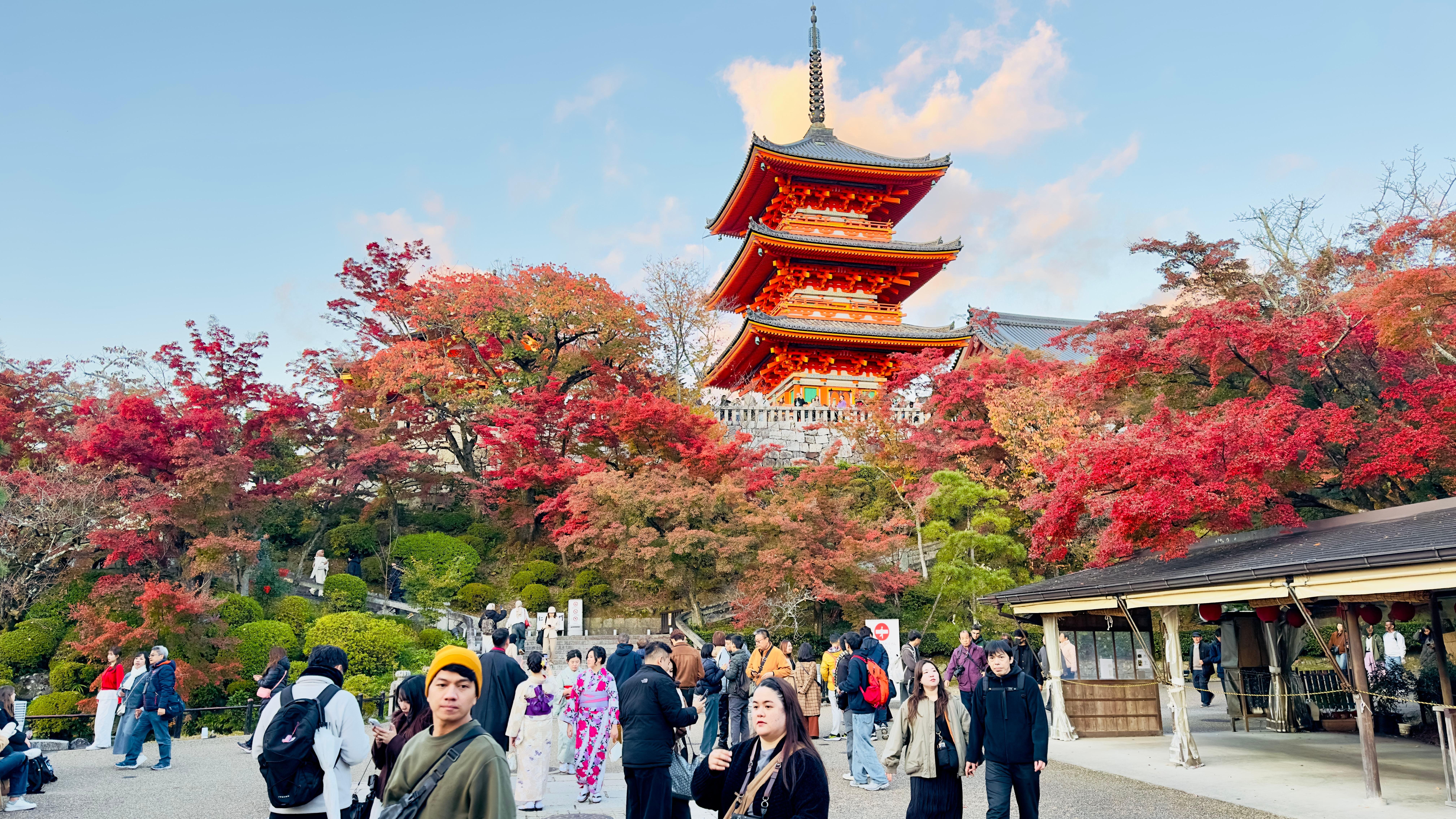 Privat høydepunkts-tur i Kyoto med sjåfør og engelskspråklig guide