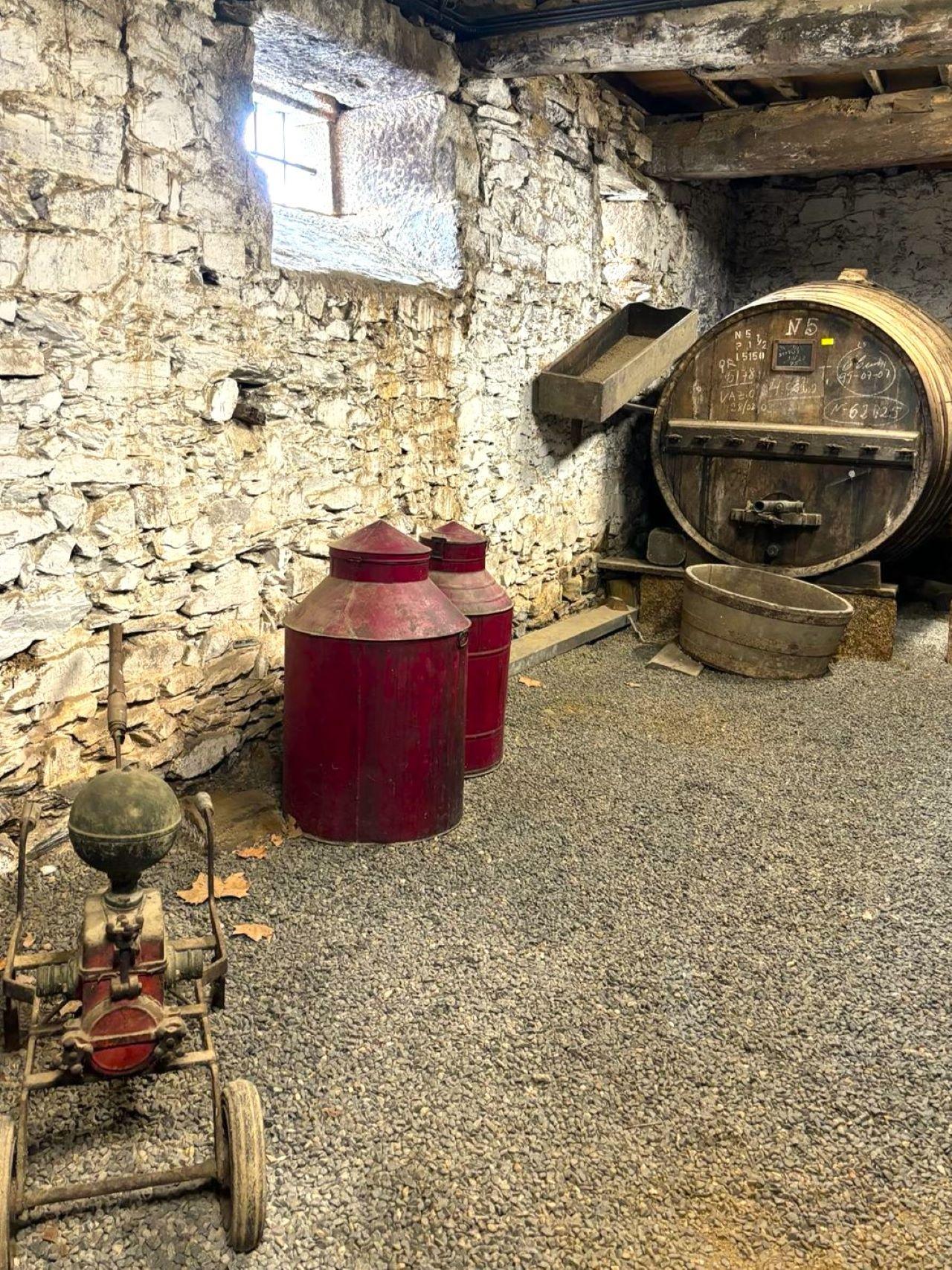 Douro Valley Small-Group Wine & River Cruise Day Trip from Porto