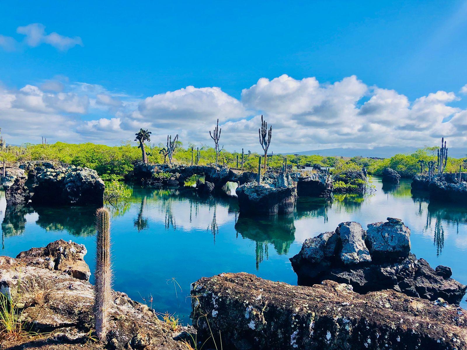 Galapagos Tunnels Snorkeling & Wildlife Expedition