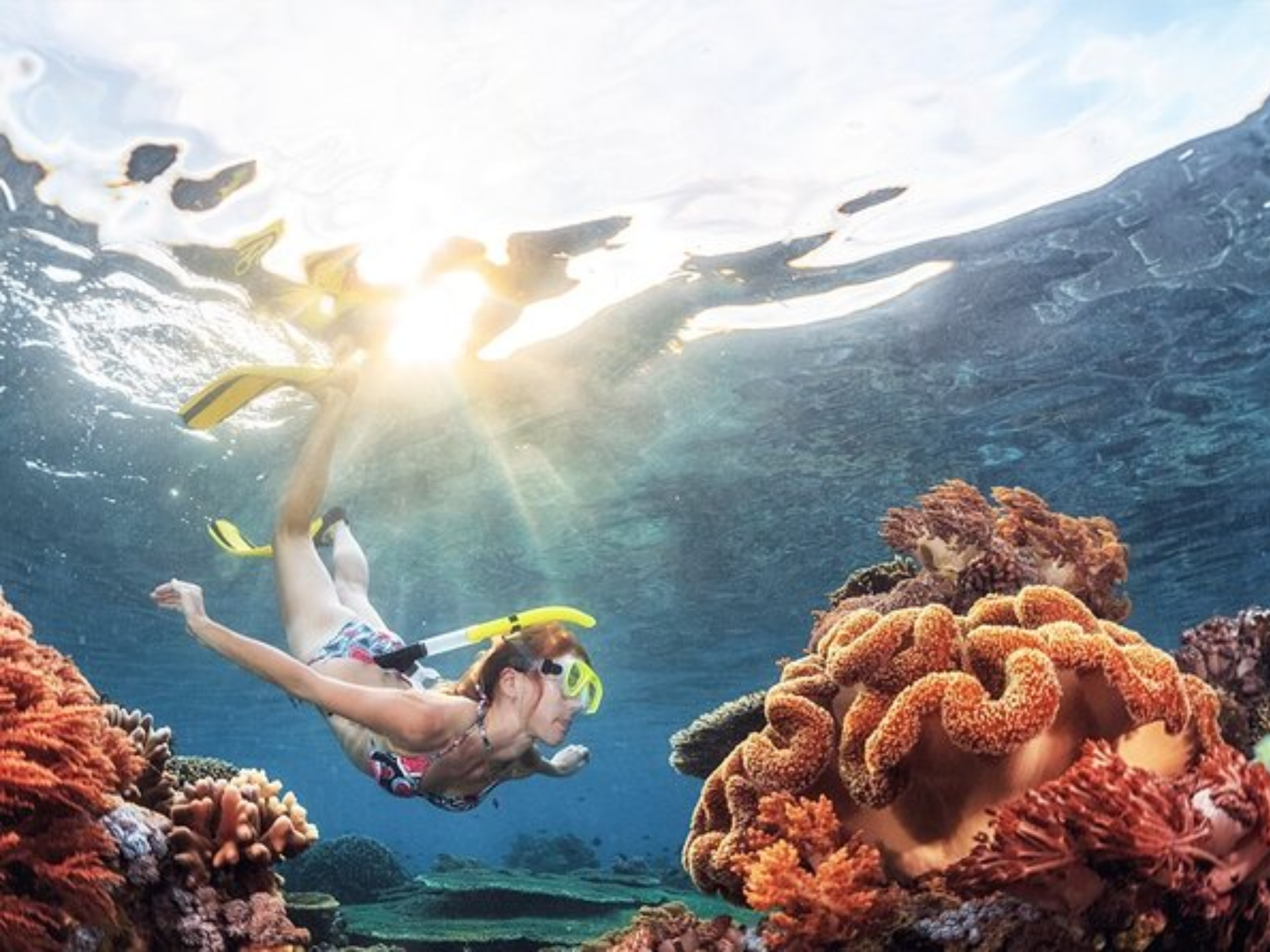 Trincomalee Snorkeling Adventure