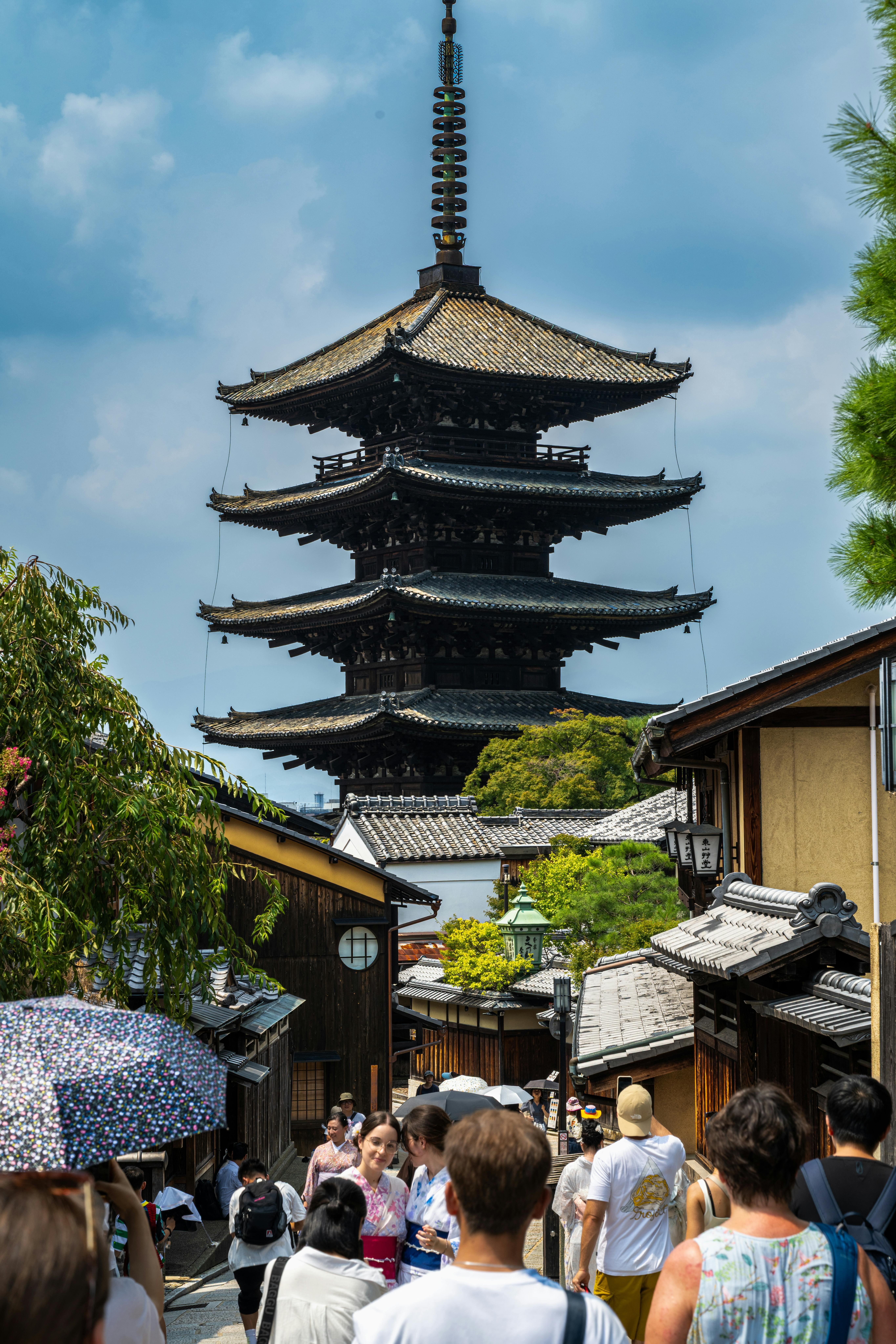 Tokyo to Nagano: Private Snow Monkeys & Zenko-ji Day Trip