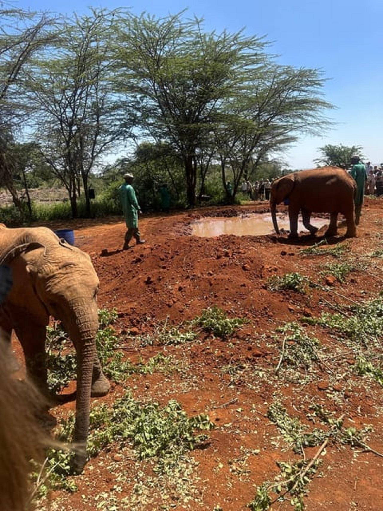 Nairobi Wildlife & History Day Tour