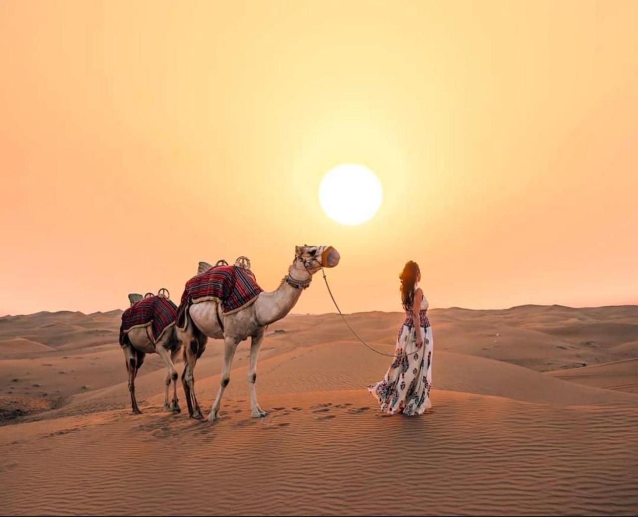 Qatar Premium Desert Safari & Inland Sea Expedition
