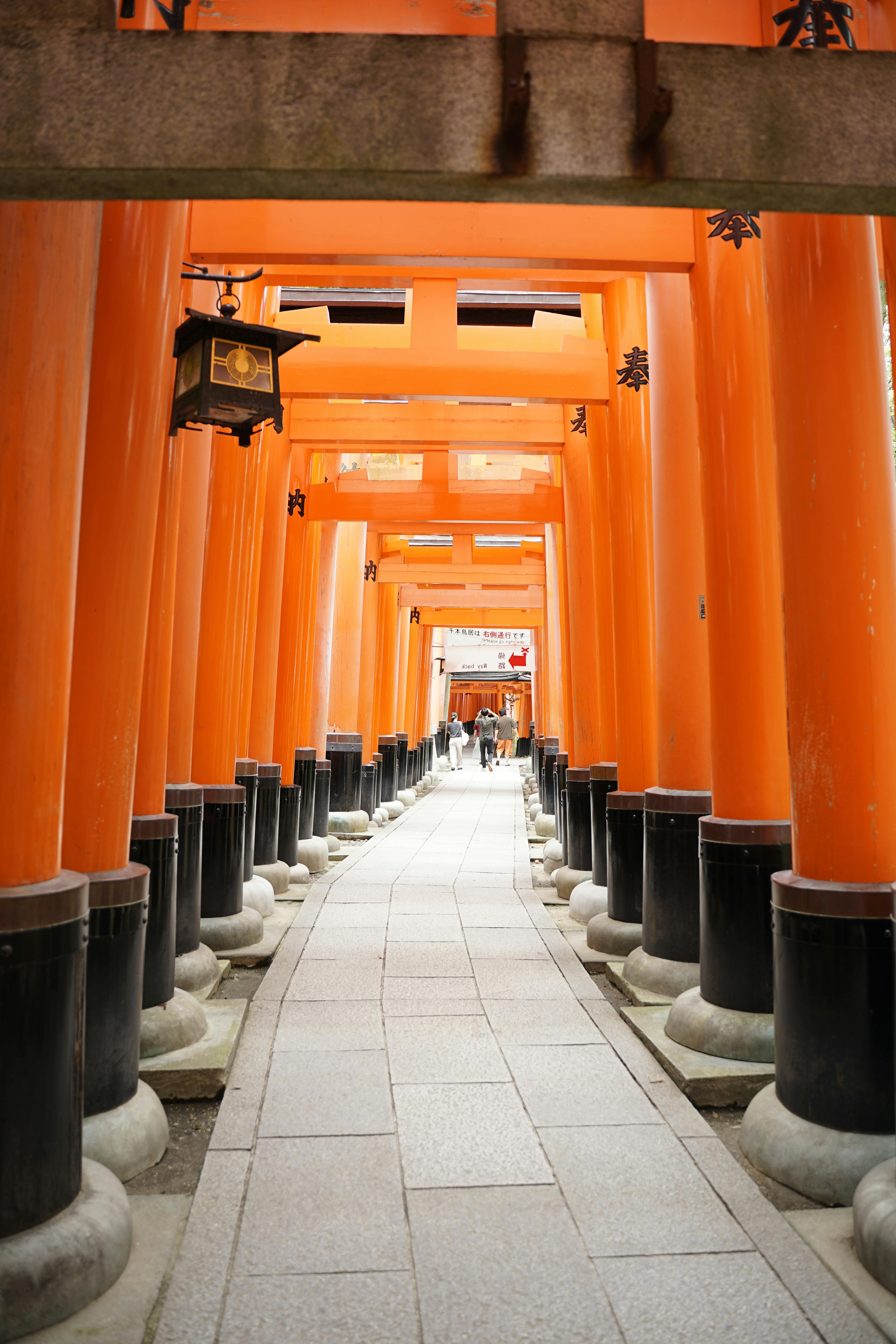 嵐山ガイド付きウォーキングツアー：竹林、禅寺、モンキーパーク