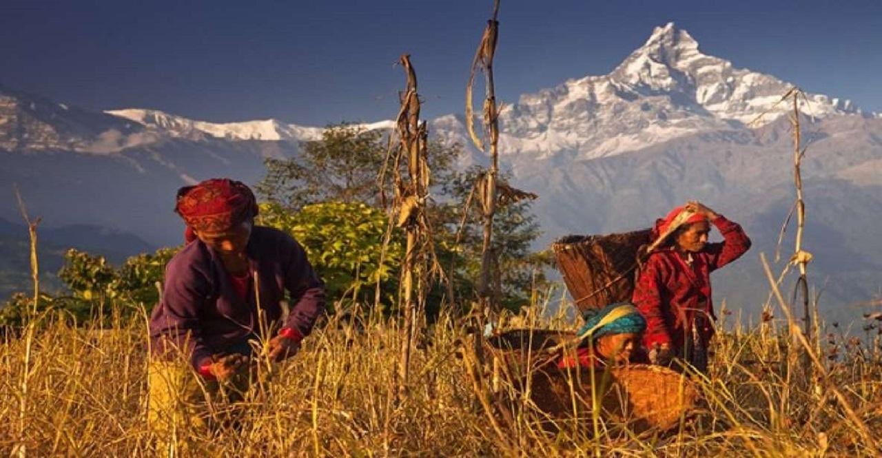 Annapurna Foothills Day Hike from Pokhara with Transfers