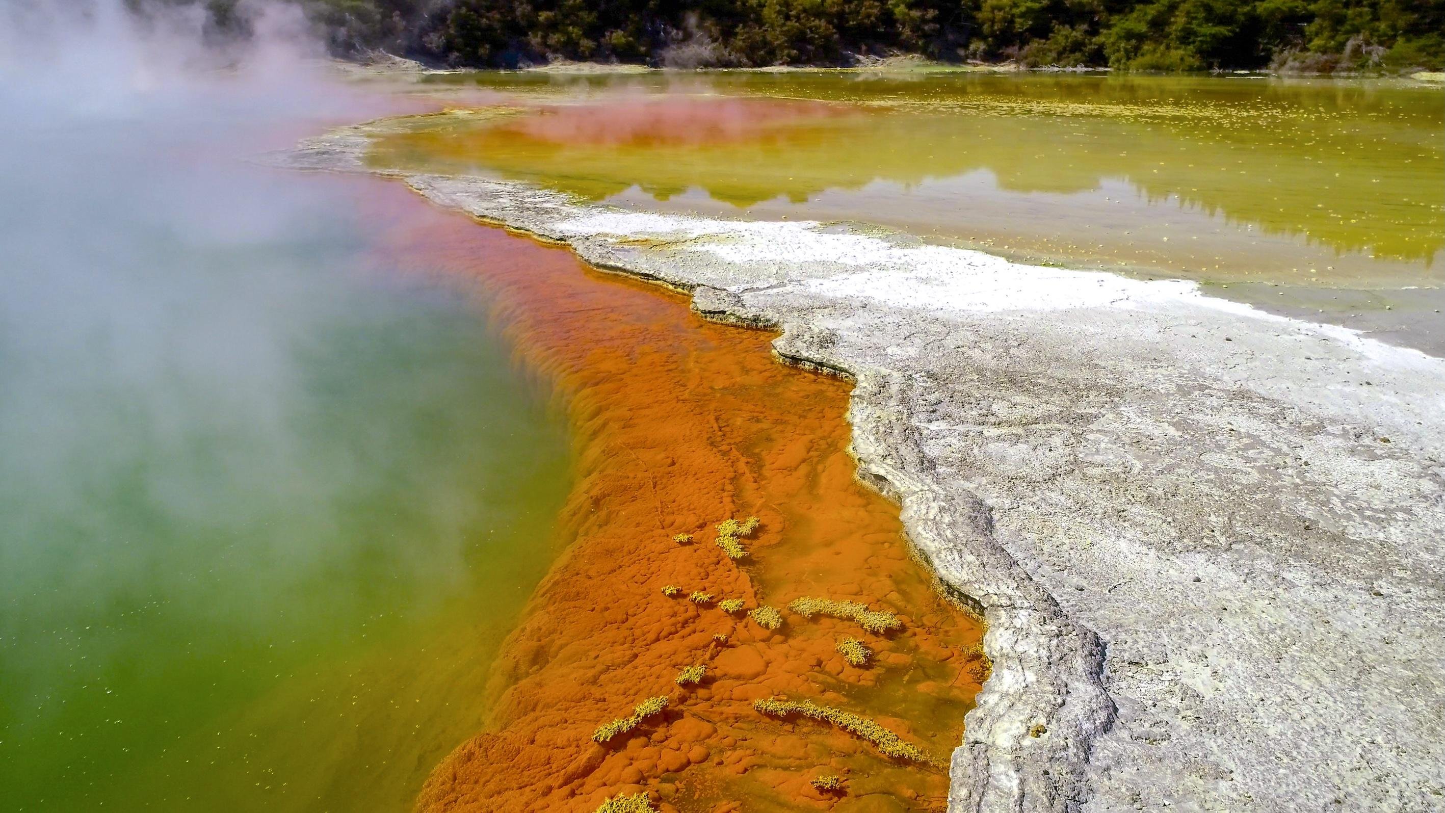 Wai-O-Tapu Thermal Wonderland Rotorua — Champagne Pool and Artist's Palette — image 10