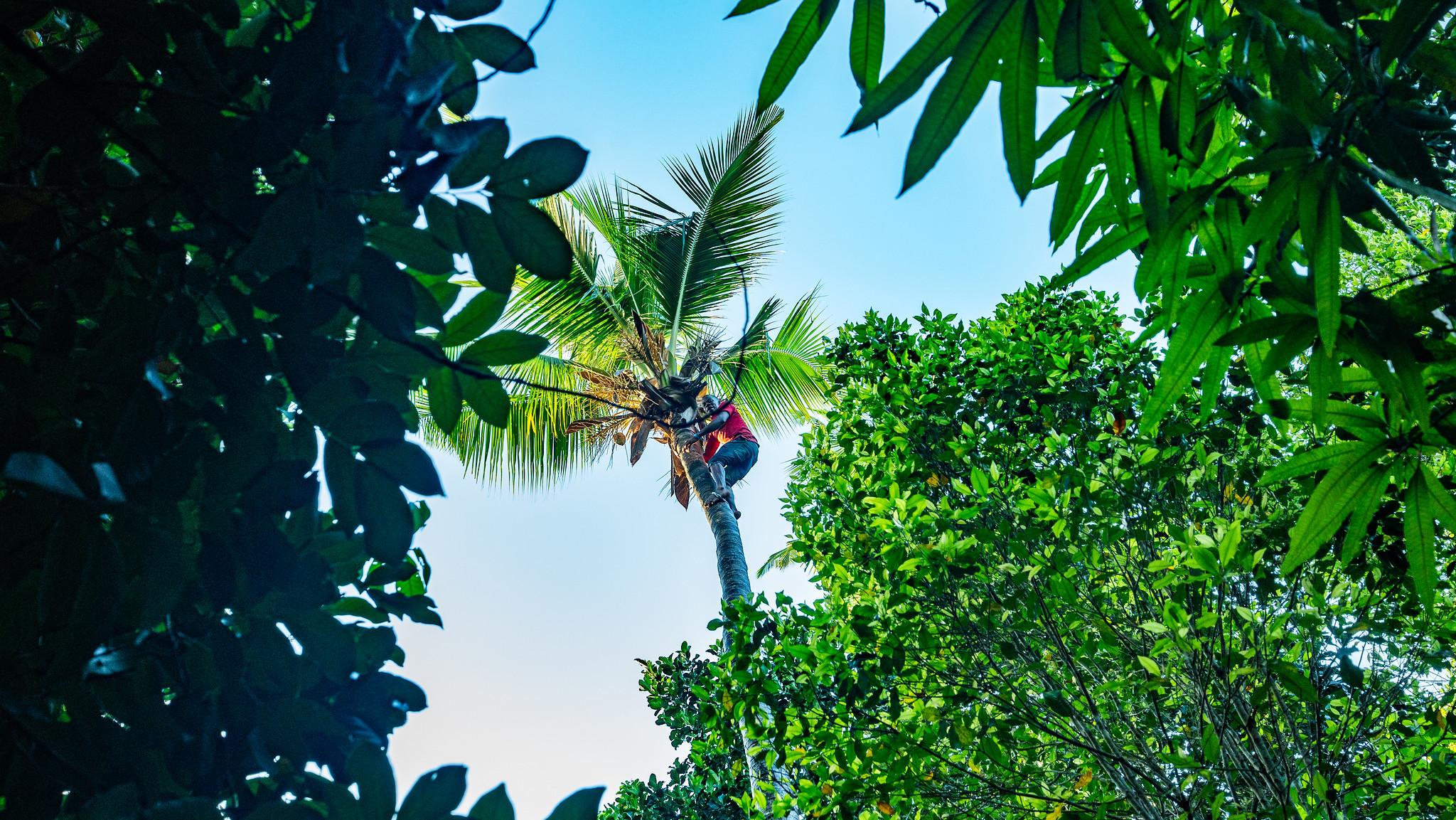Zanzibar Full-Day Discovery: Stone Town, Spice Farm & Prison Island