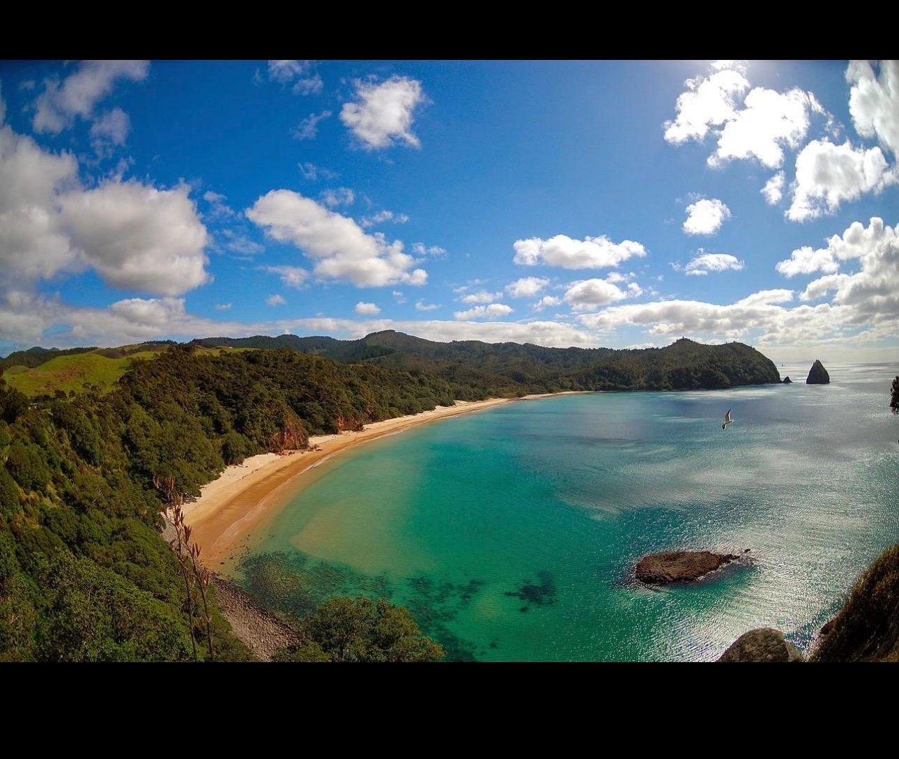 Coromandel Peninsula & Cathedral Cove Private Day Tour from Auckland