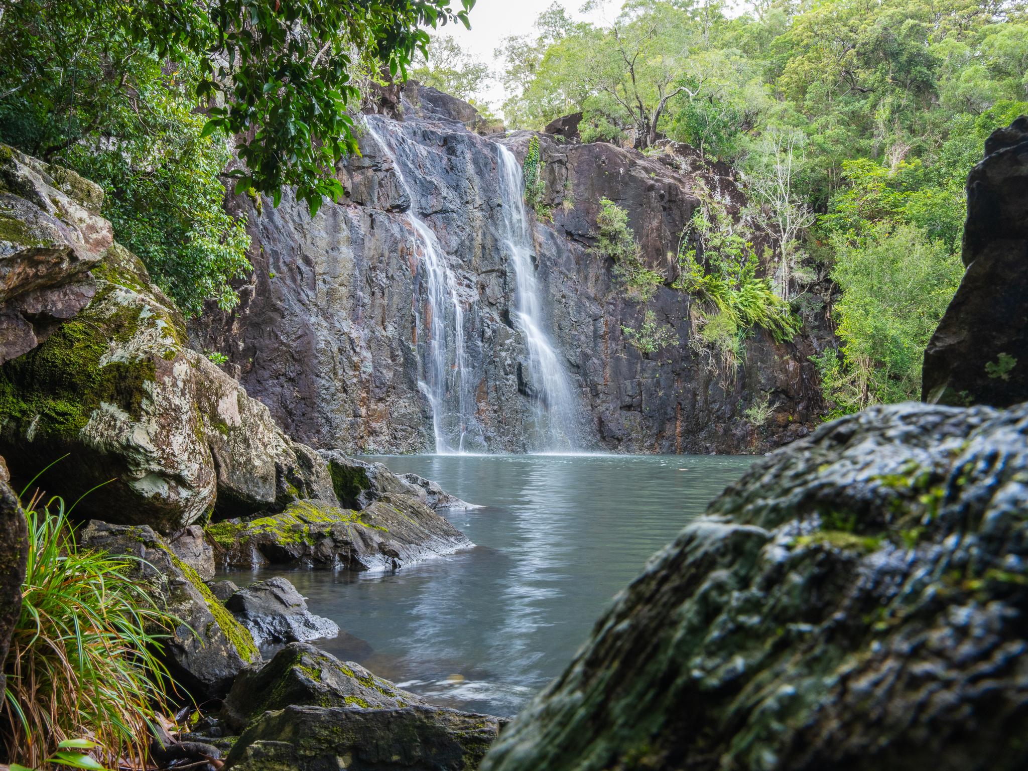 Cedar Creek Falls Eco Tour from Airlie Beach