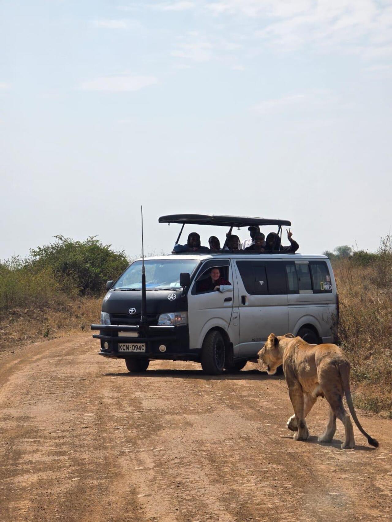Nairobi National Park 5-Hour 4x4 Wildlife Safari