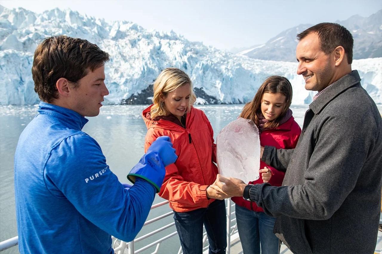 Seward: Captain's Choice Kenai Fjords National Park Tour