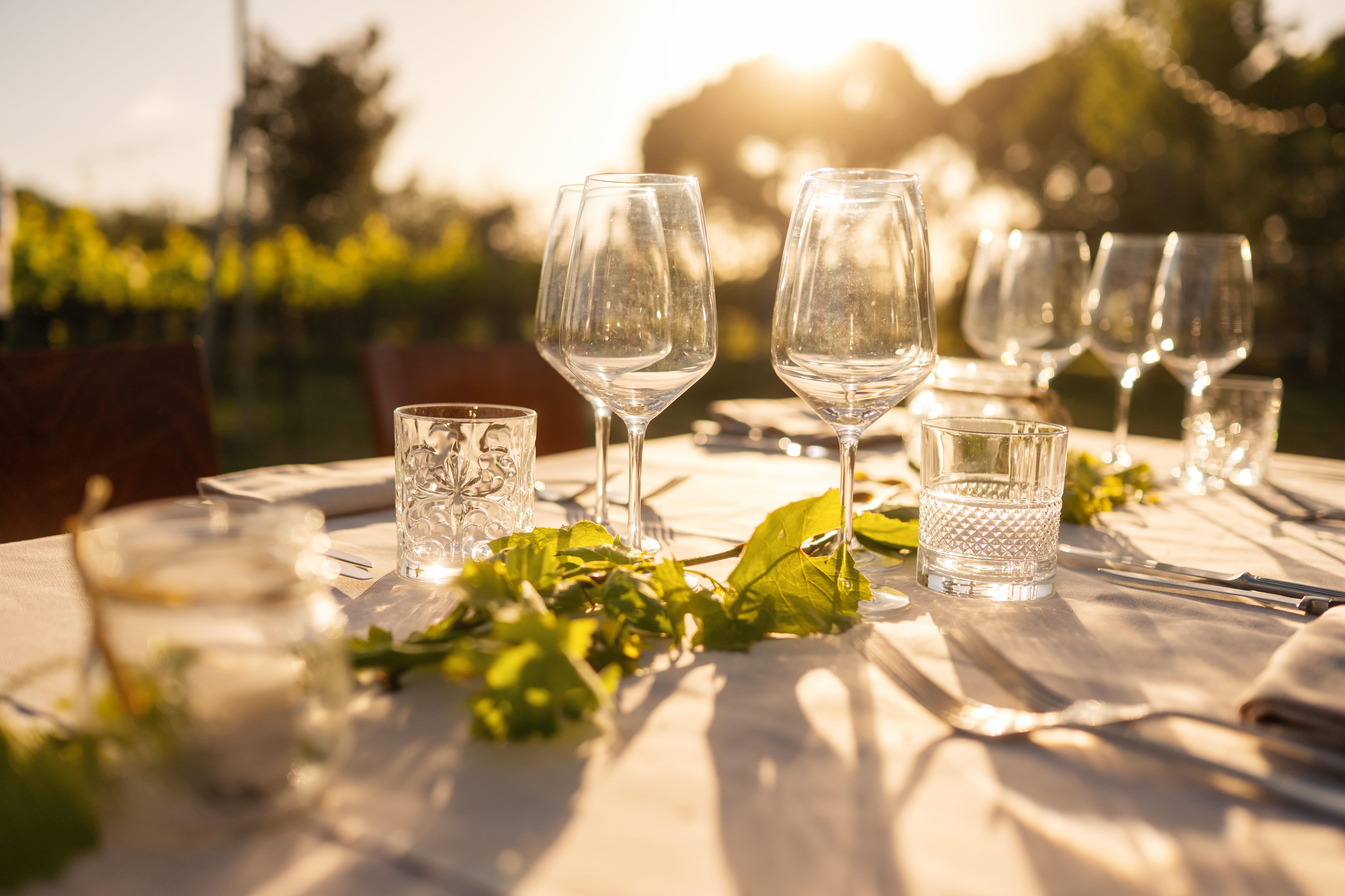 Montepulciano Vineyard Dinner with Estate Wine Pairings