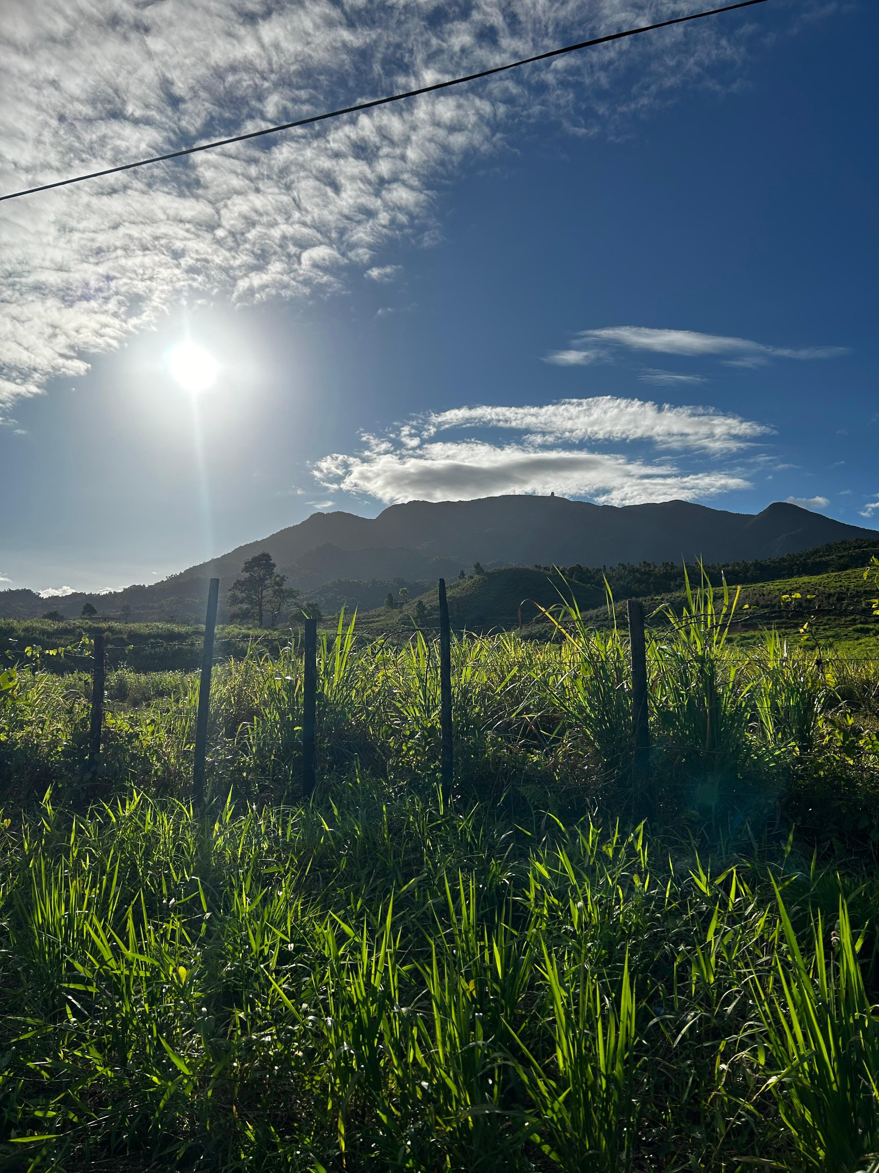 El Yunque Rainforest Adventure: Waterfalls, Slides & Rope Swings