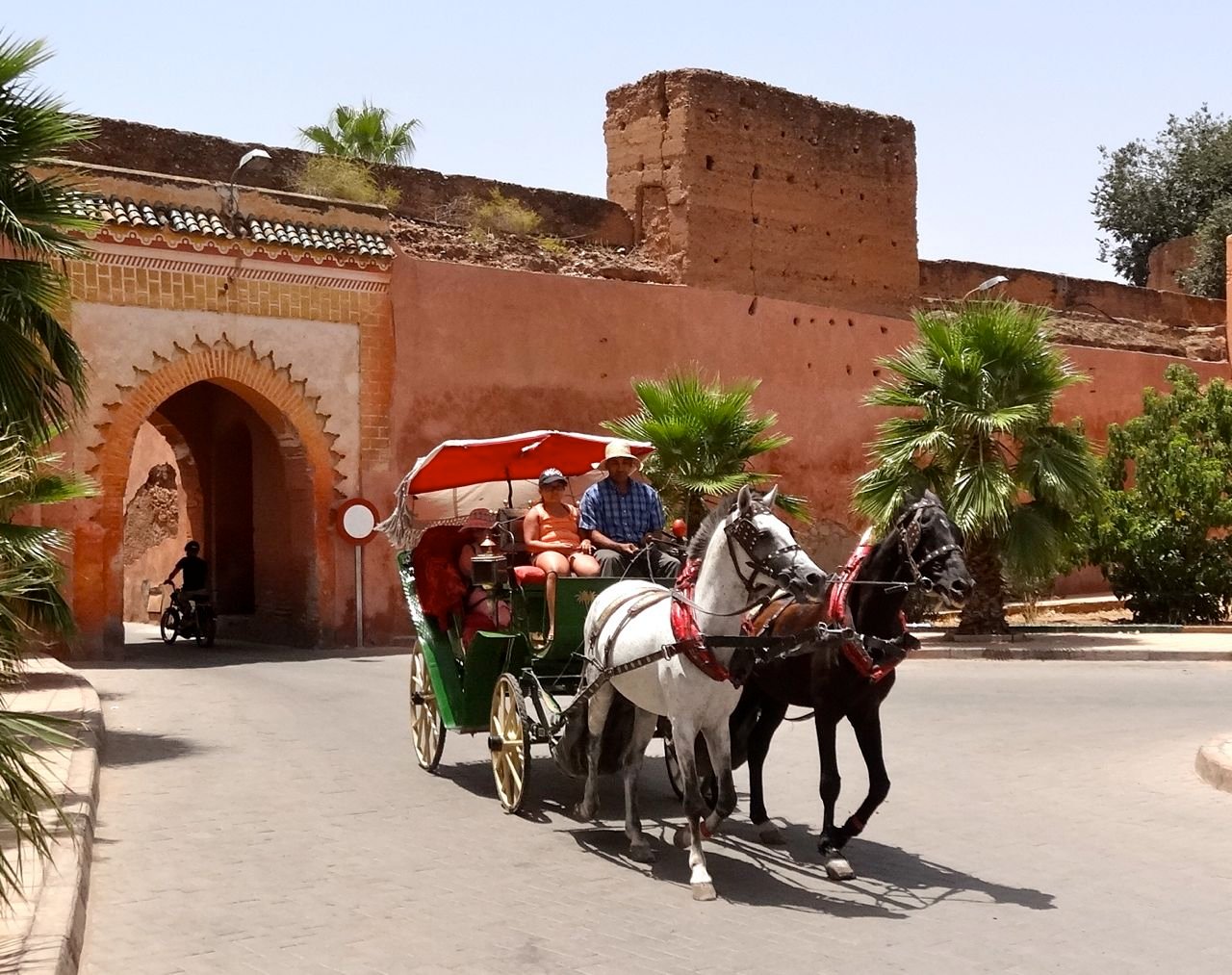Marrakech Horse-Drawn Carriage Experience