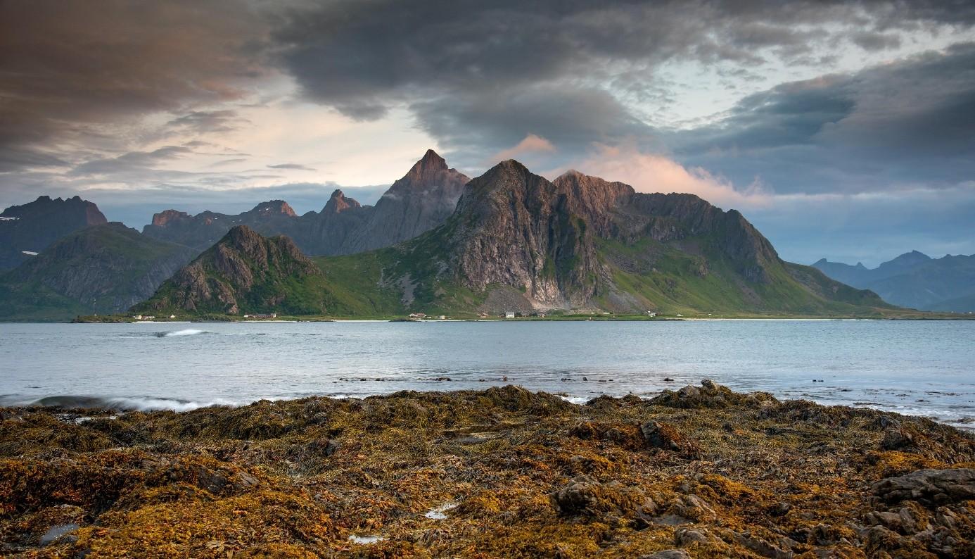 Lofoten Island-Hopping Boat Adventure