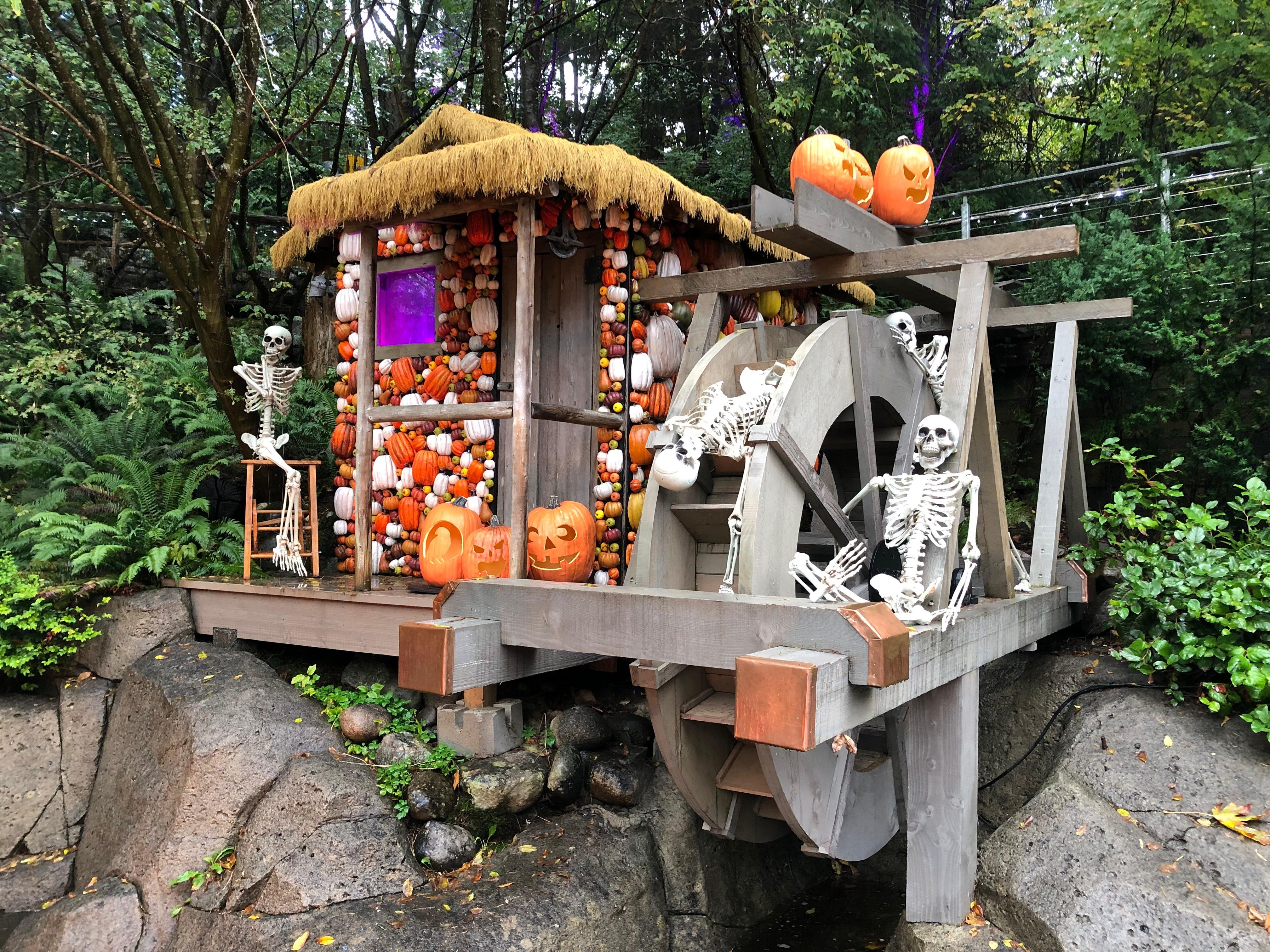 Capilano Suspension Bridge & Stanley Park Small Group Tour