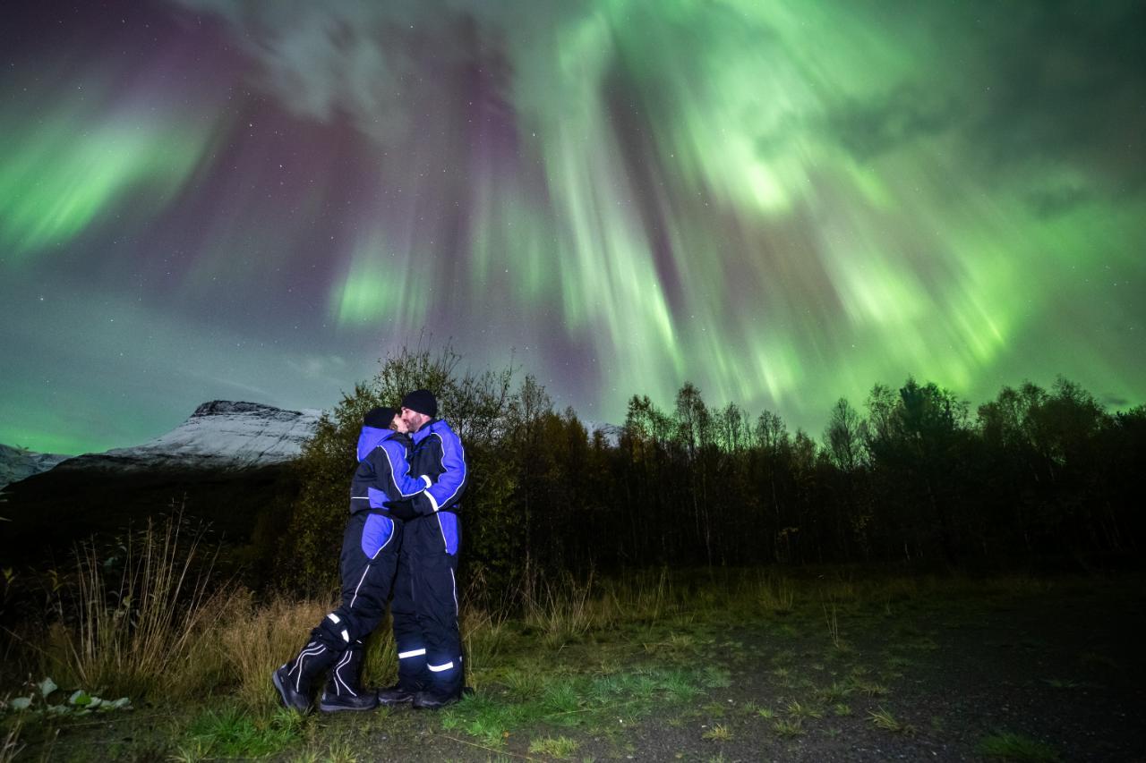 Tromsø: Big Bus Northern Lights Tour with Free Photos