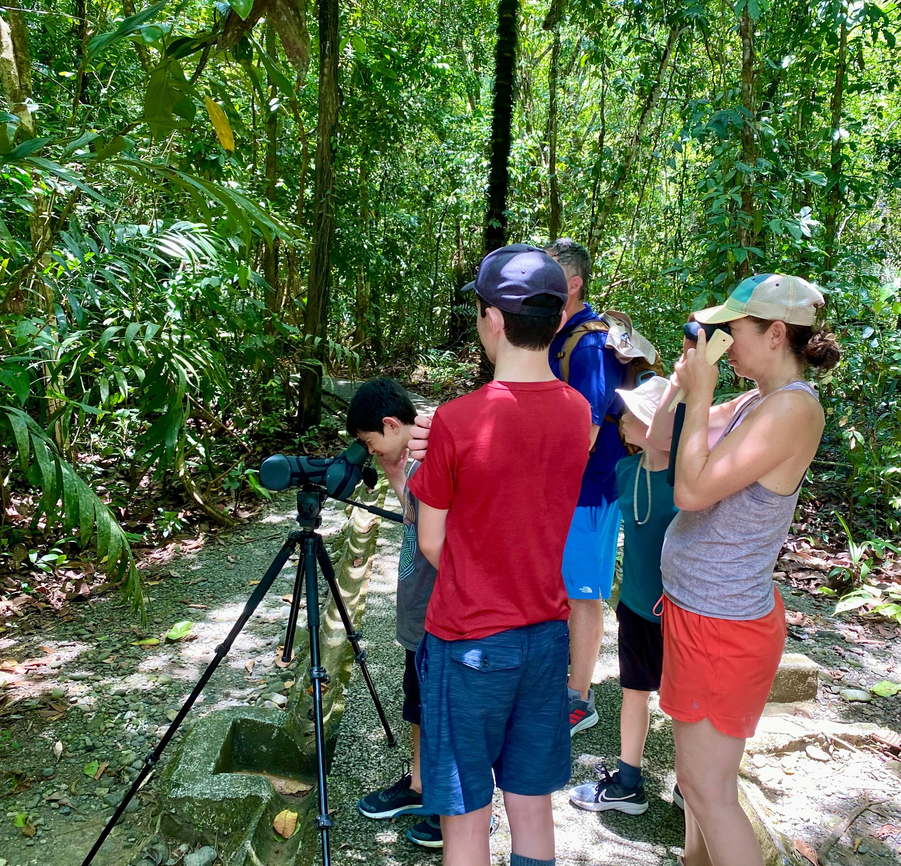 Manuel Antonio National Park: Naturalist-Led Wildlife Walking Tour