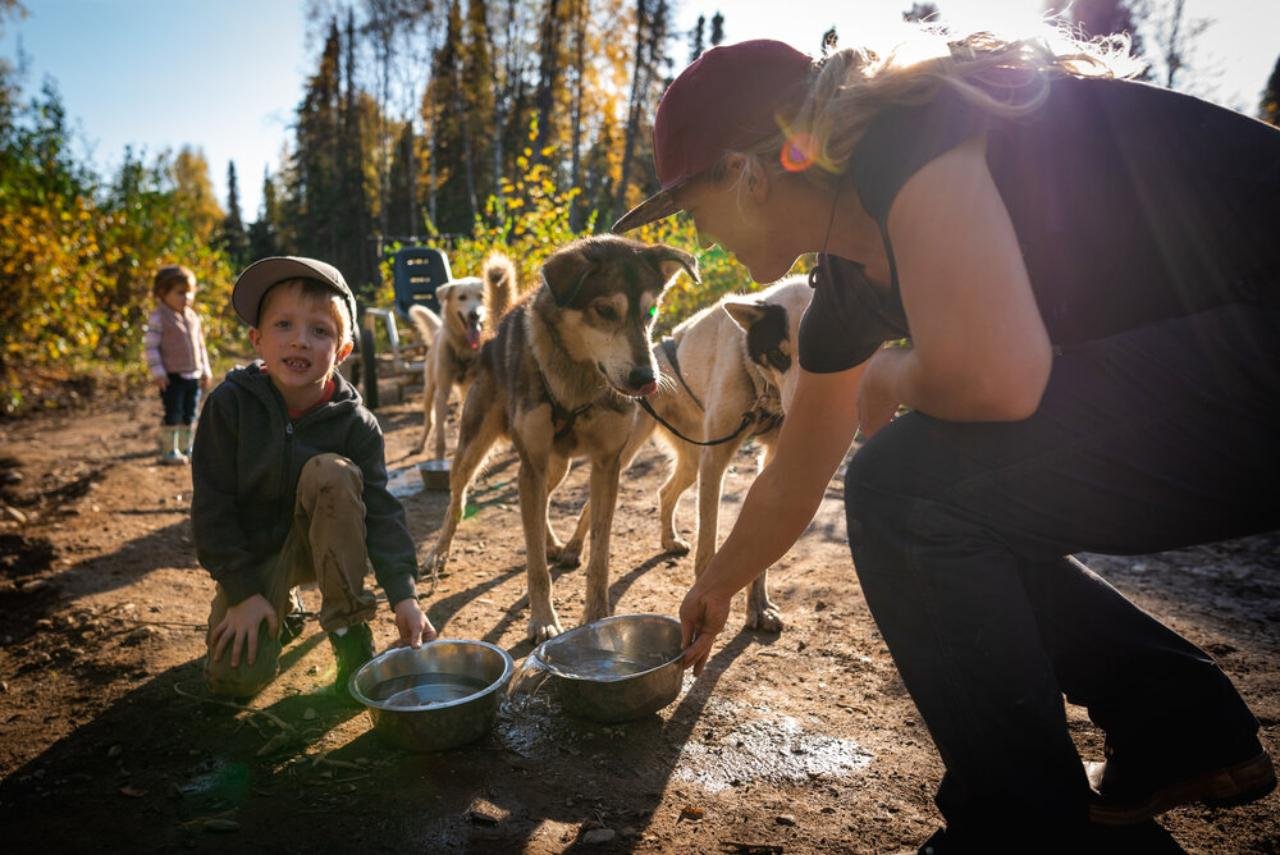 dog sledding in Talkeetna — photo 2