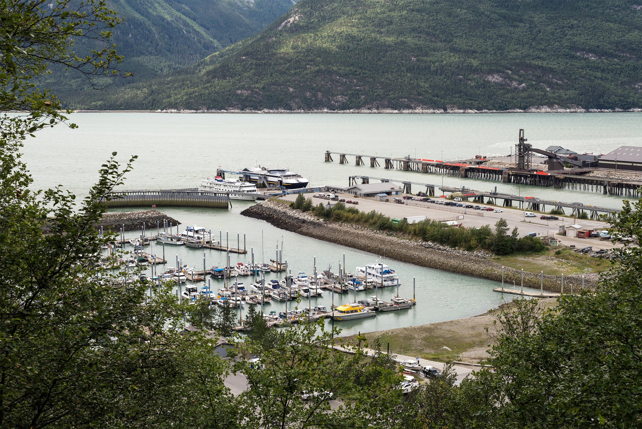 From Skagway: White Pass Summit Guided Bus Tour