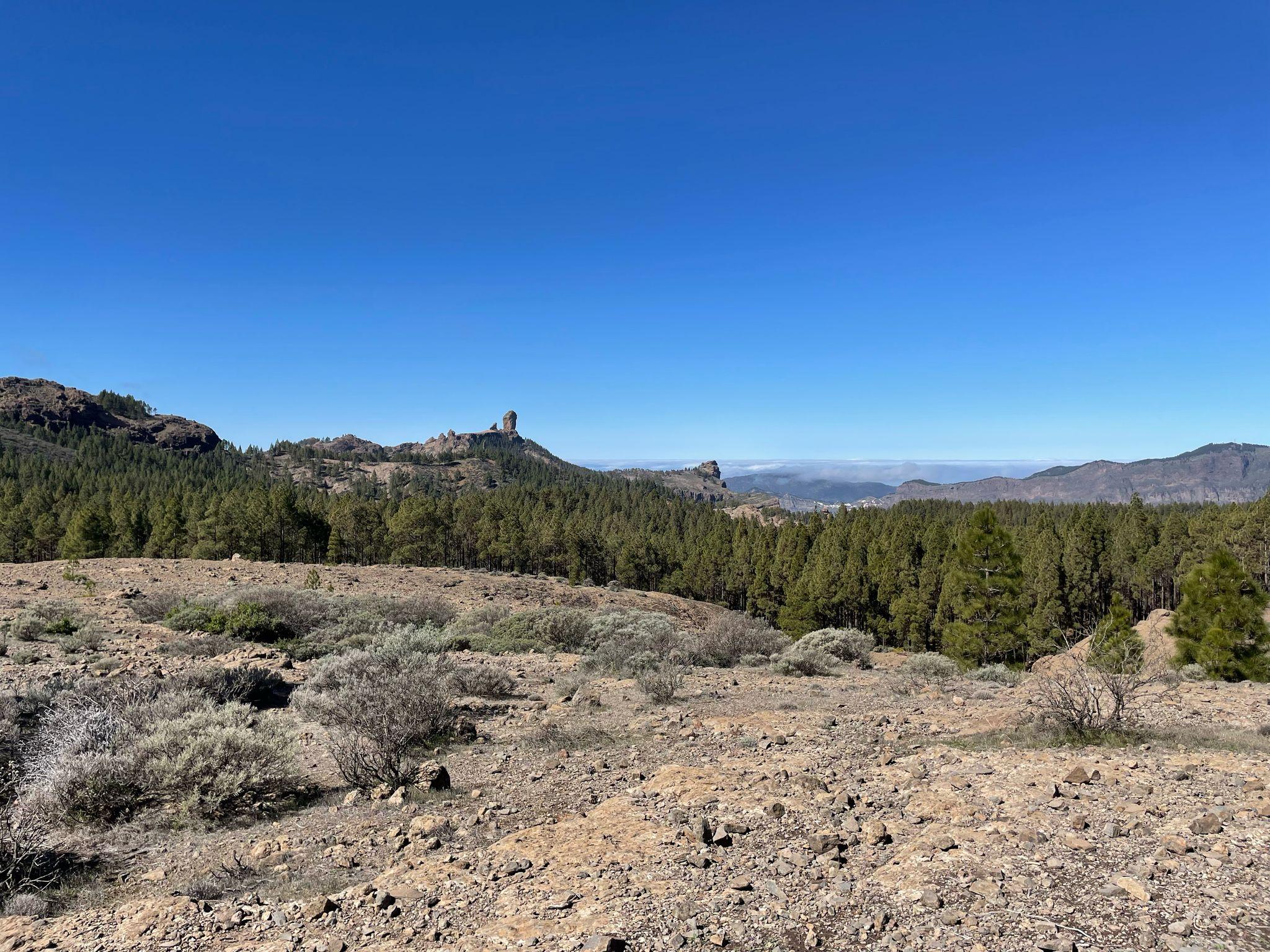 Roque Nublo Mountain Trek