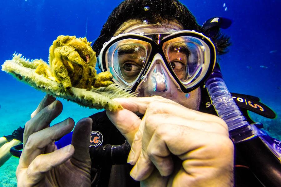 Catalina Island Scuba Diving Adventure