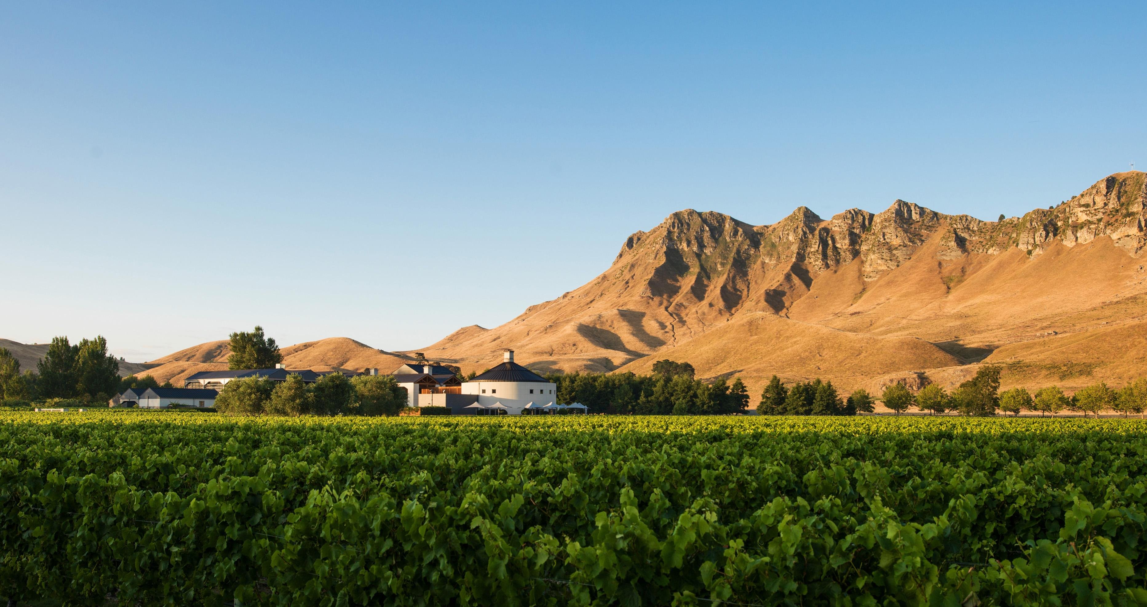 Craggy Range Wine Experience with Te Mata Peak Summit